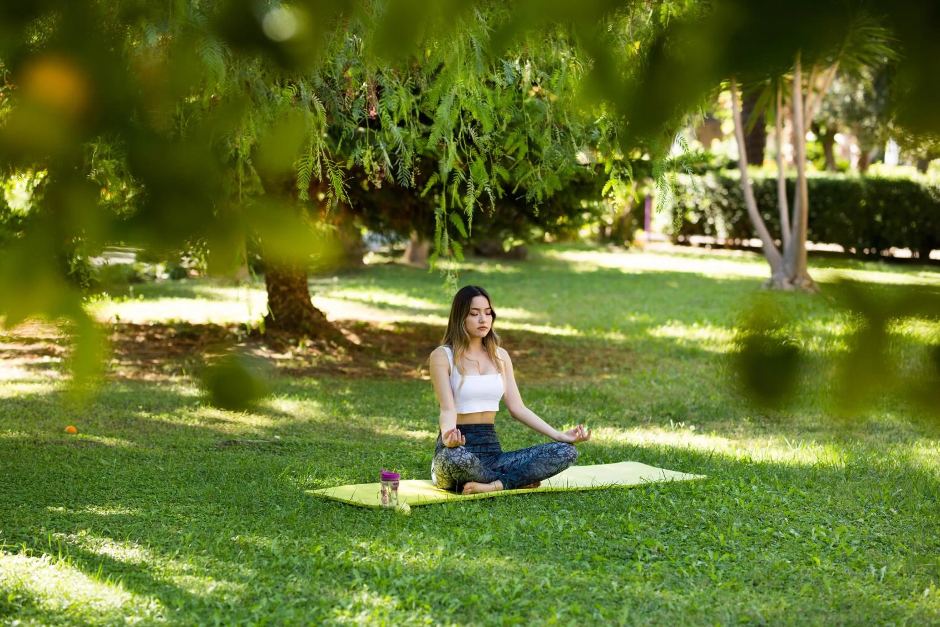 Garden in Club Hotel Felicia Village