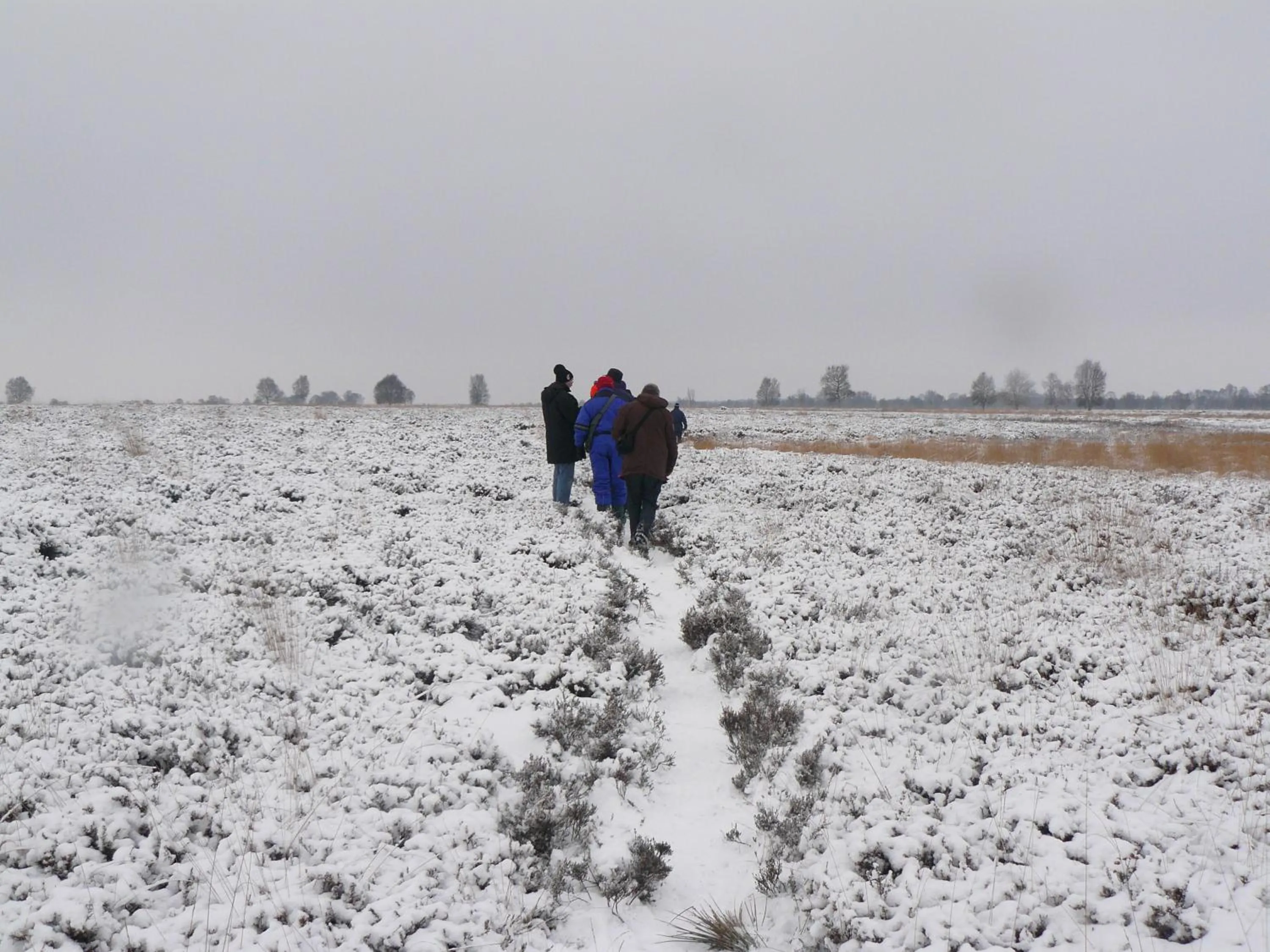 Activities in Stichting Veenloopcentrum Weiteveen