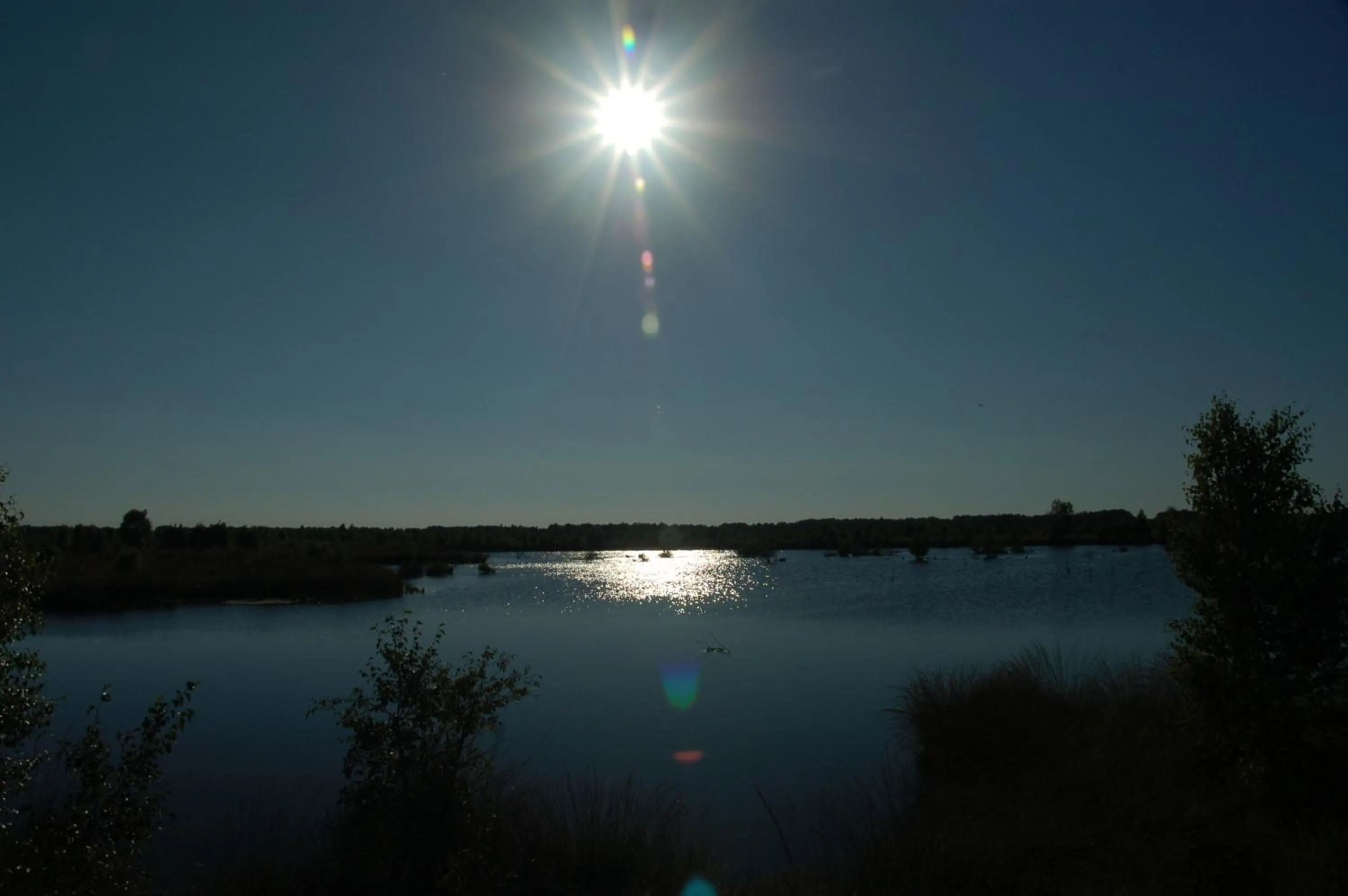 Natural landscape in Stichting Veenloopcentrum Weiteveen