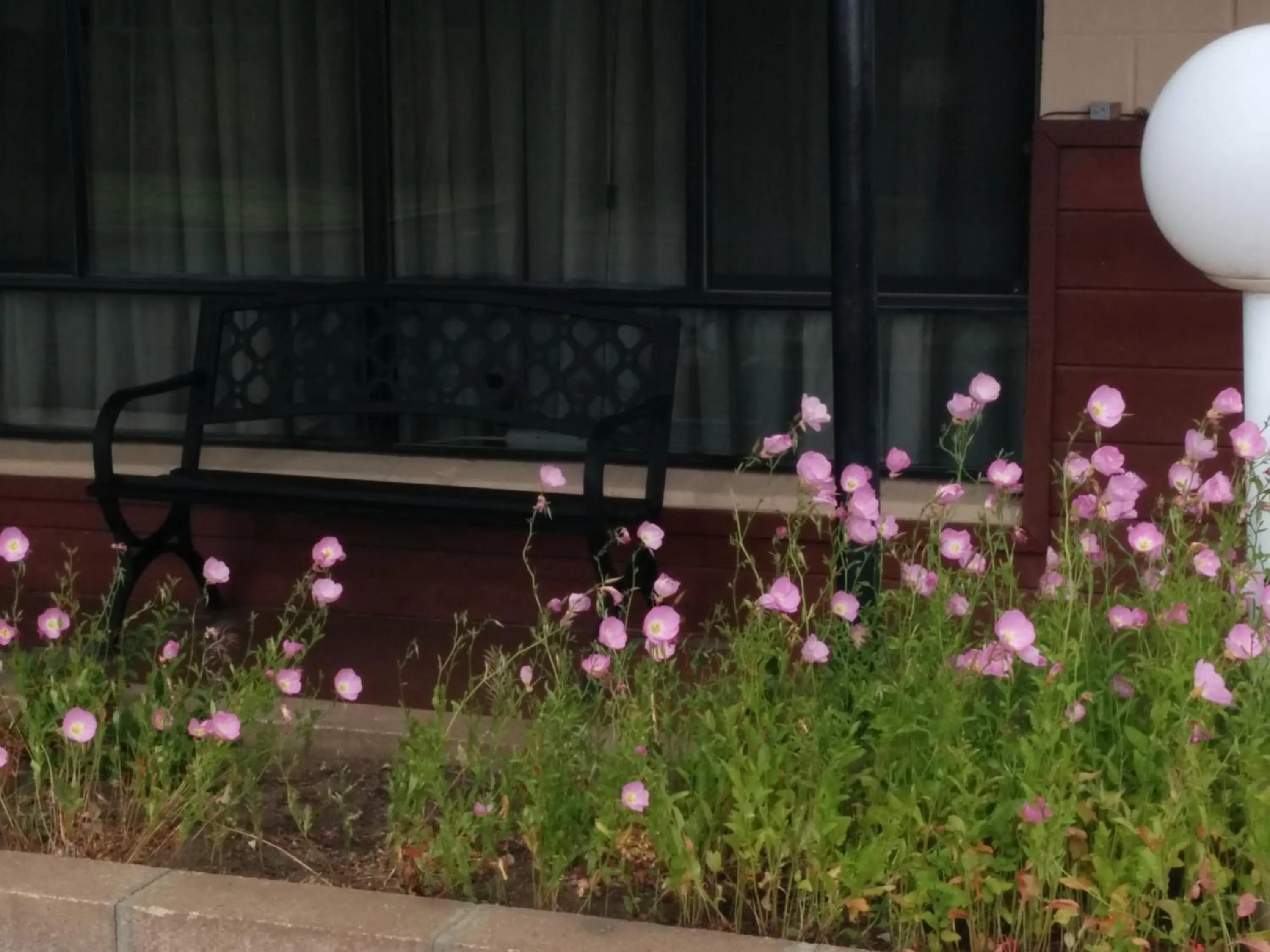 Facade/entrance in Starlight Motel