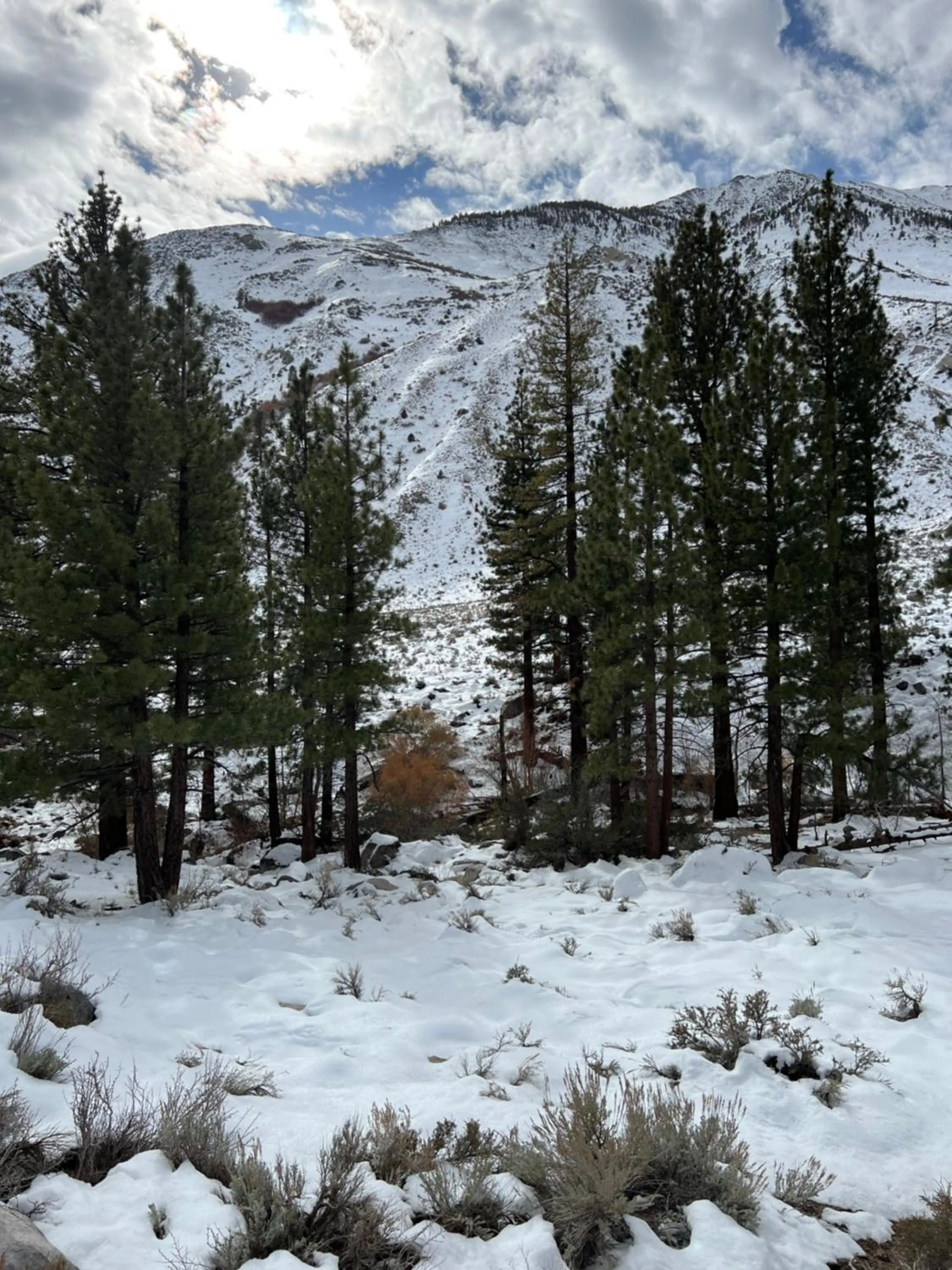 Off site in Starlight Motel