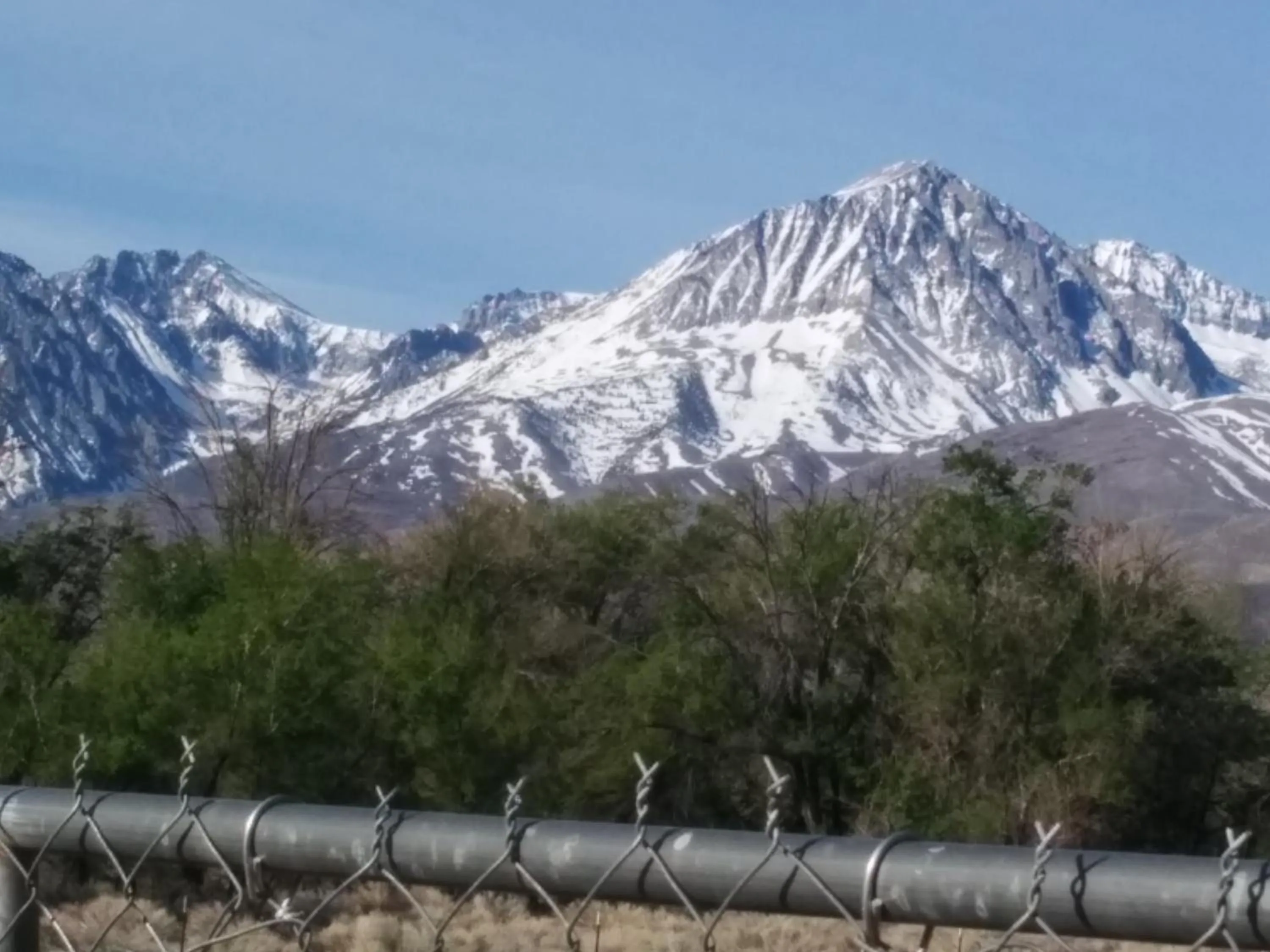 Day in Starlight Motel