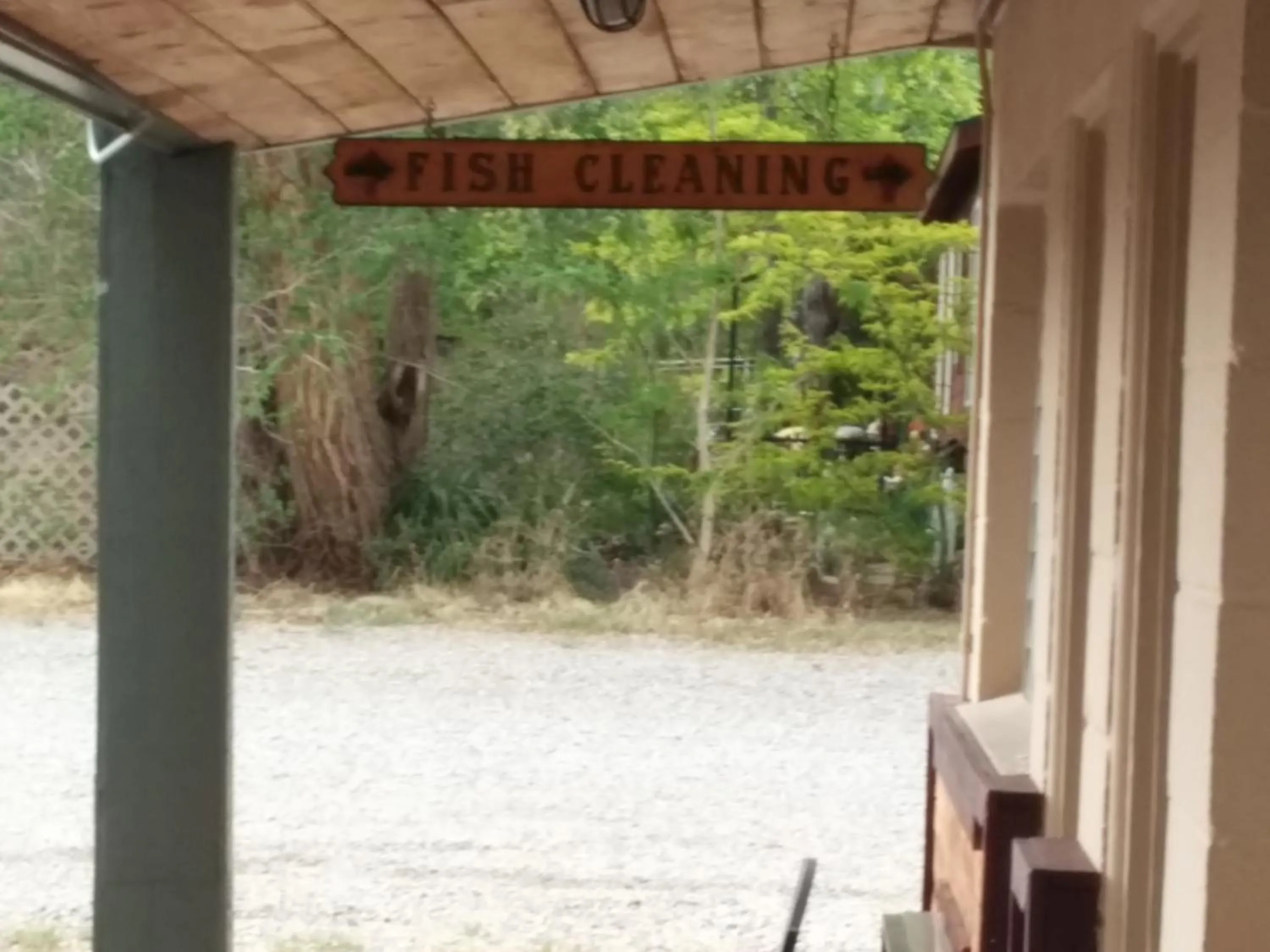 Fishing in Starlight Motel