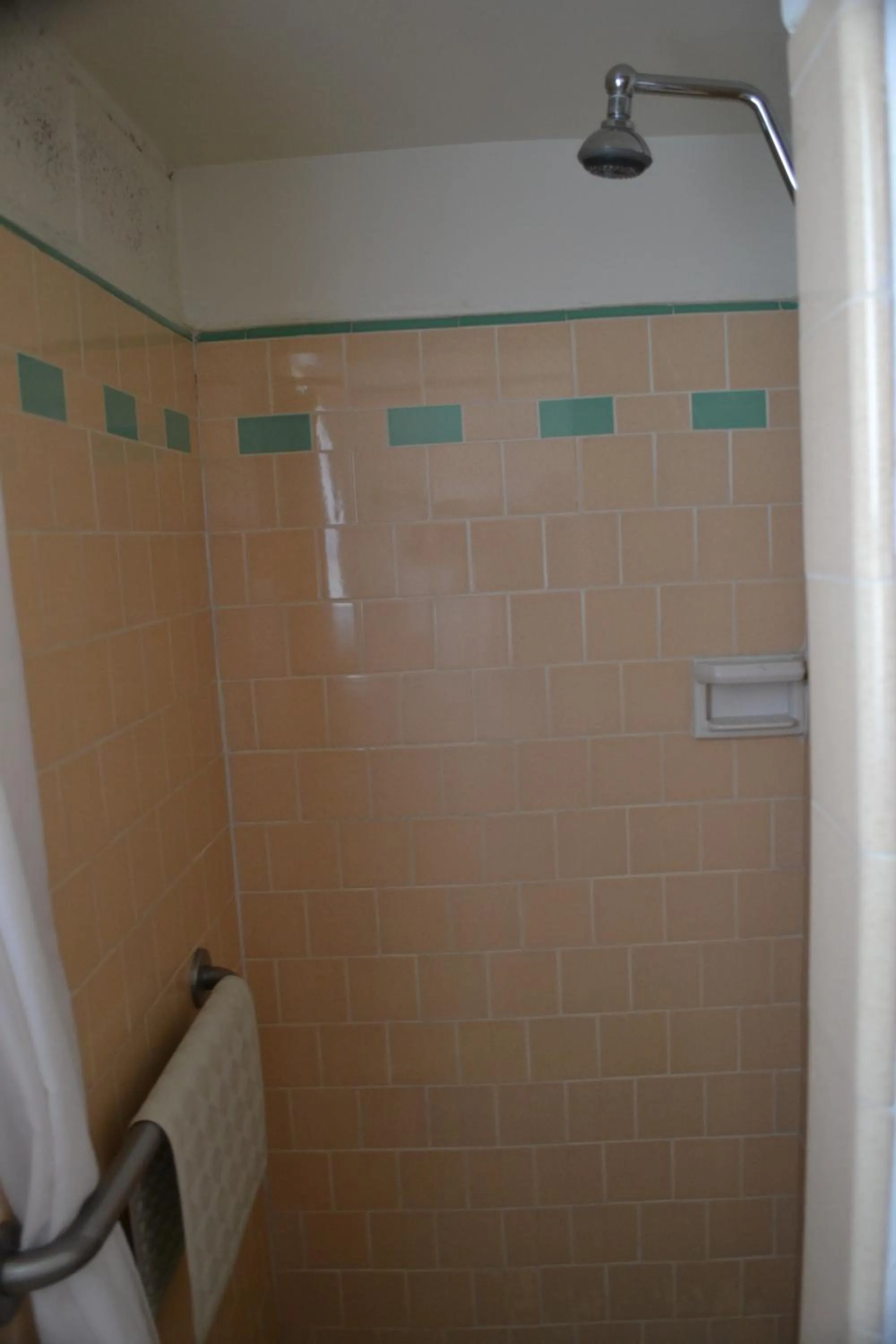 Other in Starlight Motel