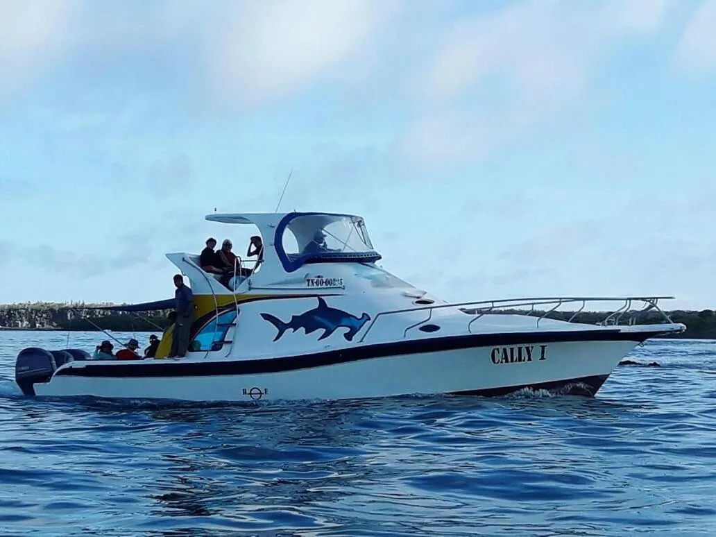 Activities in Hotel Cally