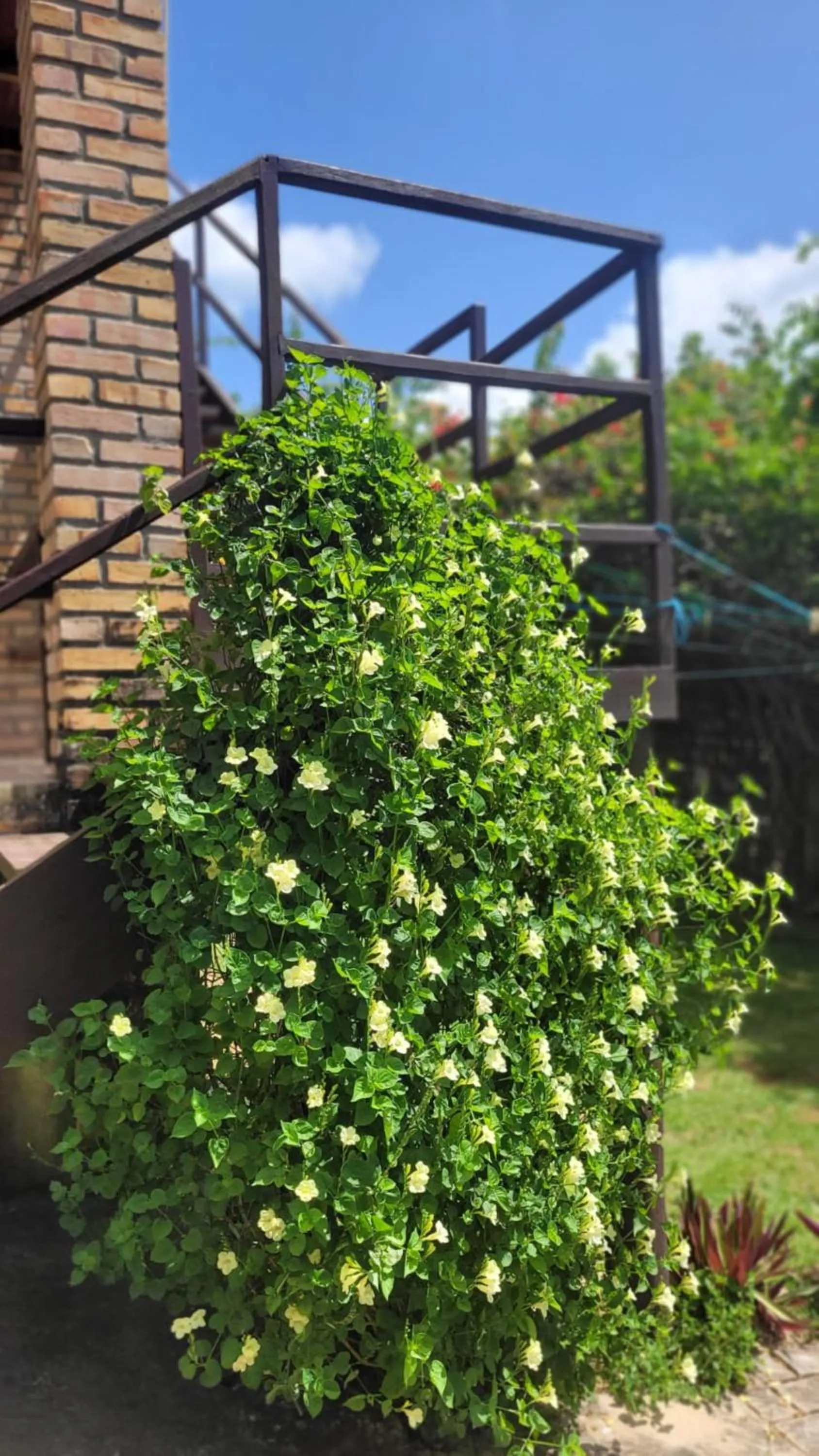 Spring in Pousada Ello