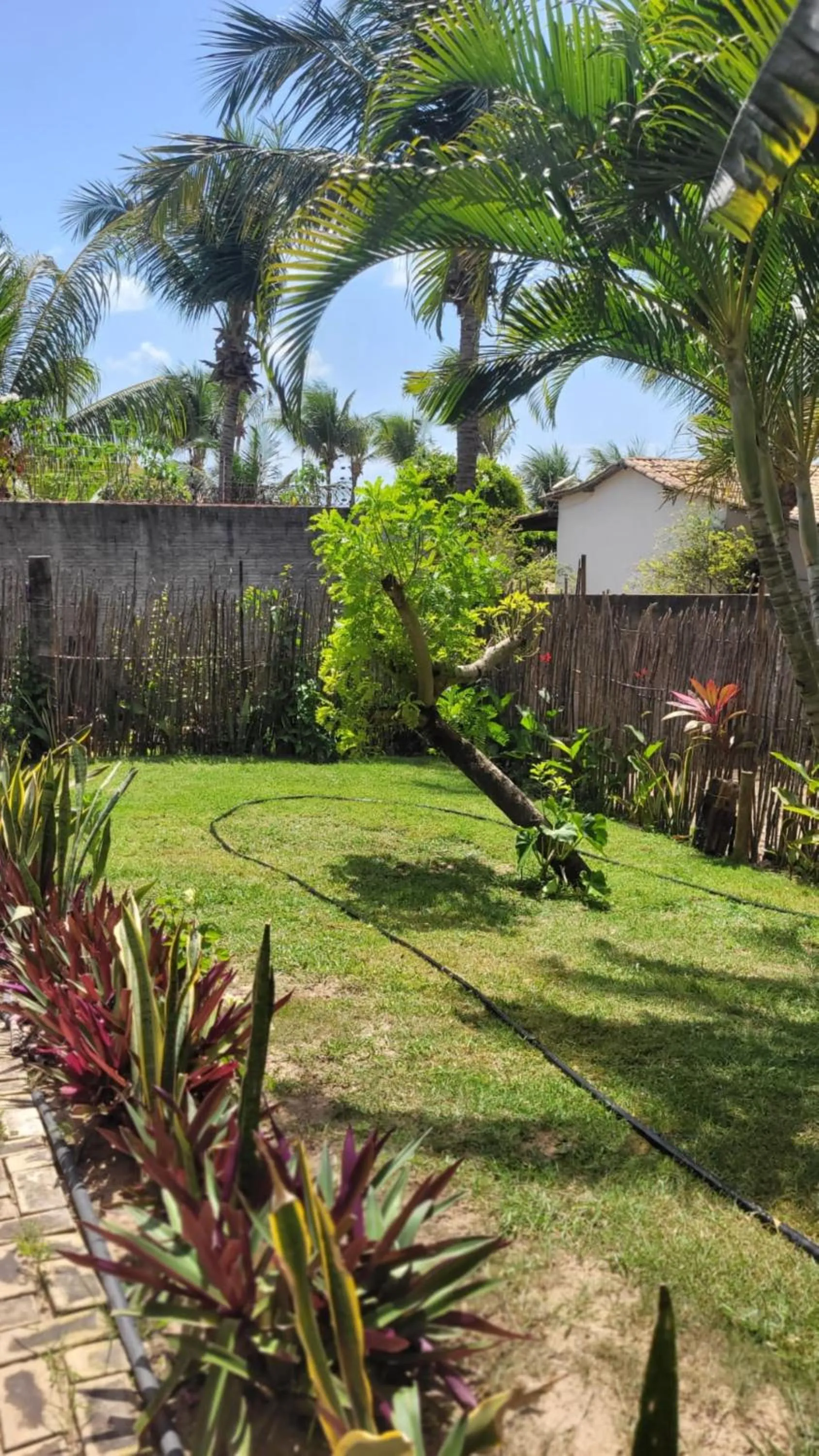 Natural landscape in Pousada Ello