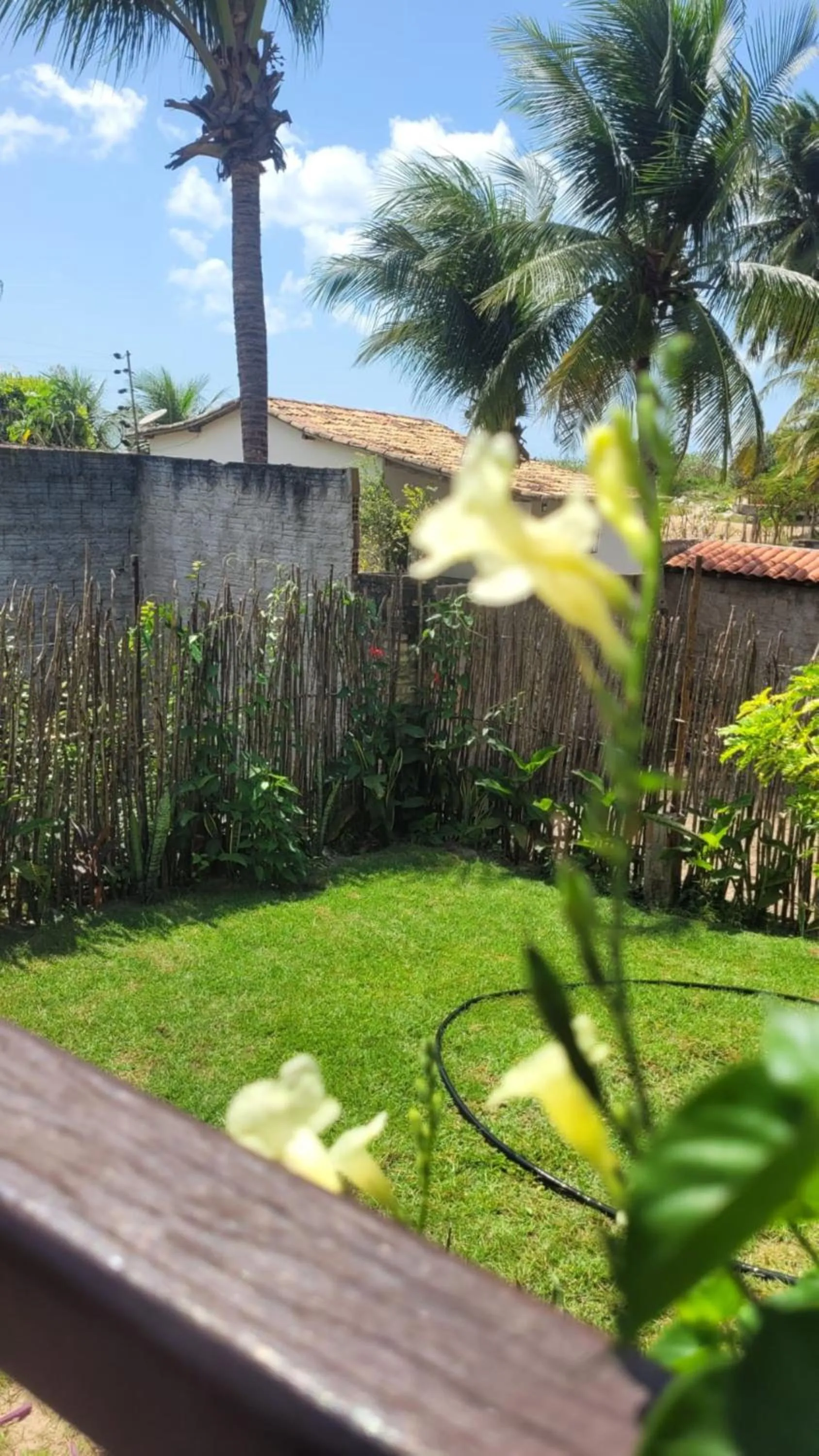Garden view in Pousada Ello