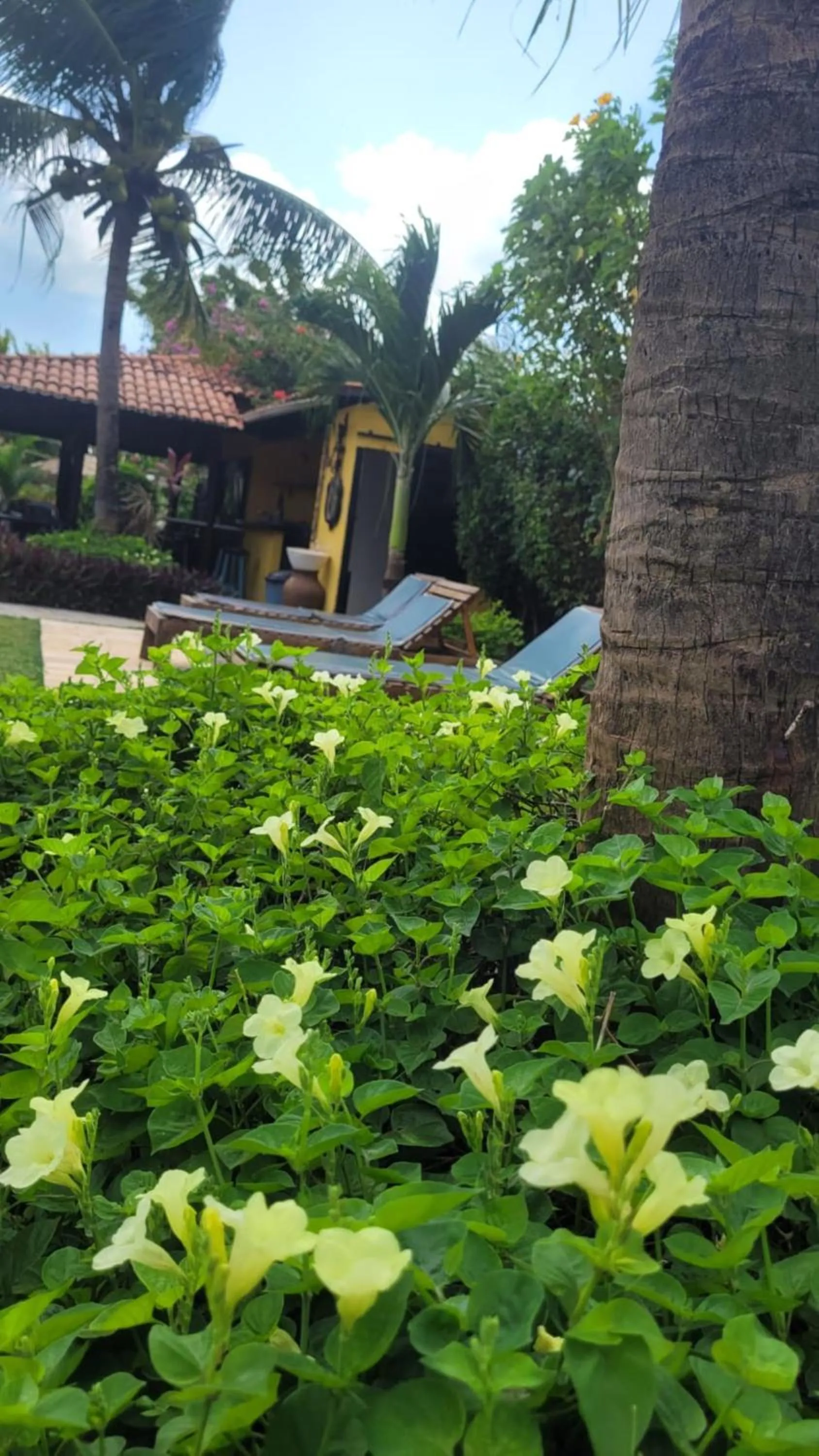 Spring in Pousada Ello