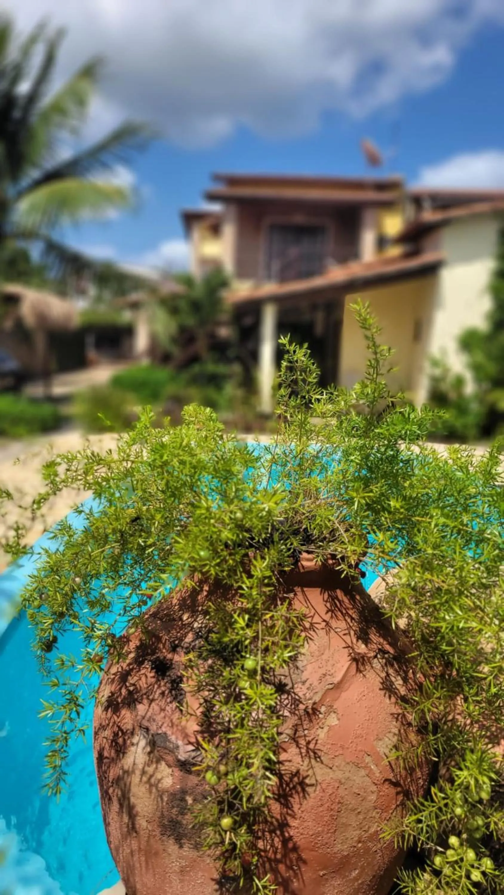 Pool view in Pousada Ello