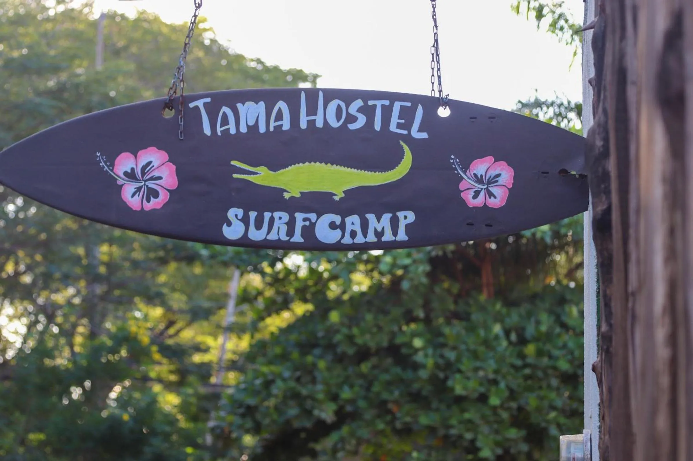TamaHostel & Glamping