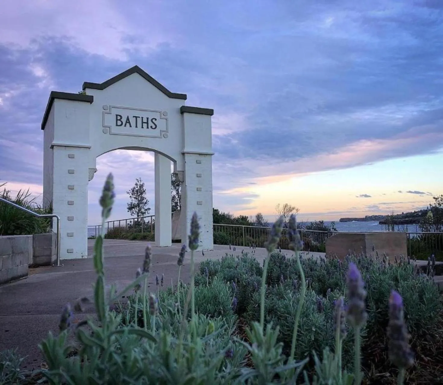 Natural landscape in Coogee Beach House