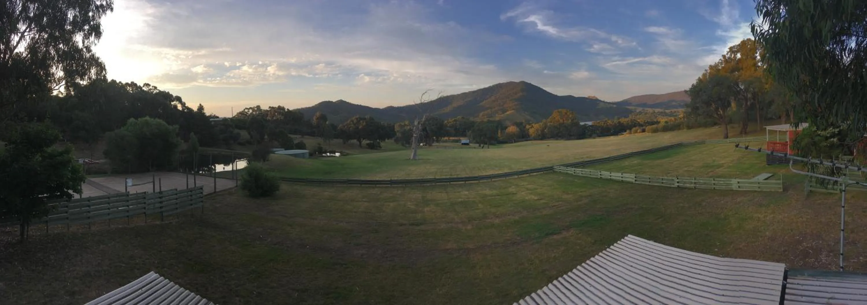 Garden view in The Black Sparrow