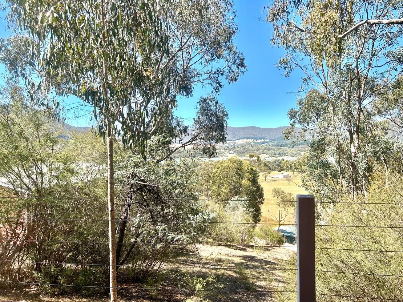 Day in The Black Sparrow