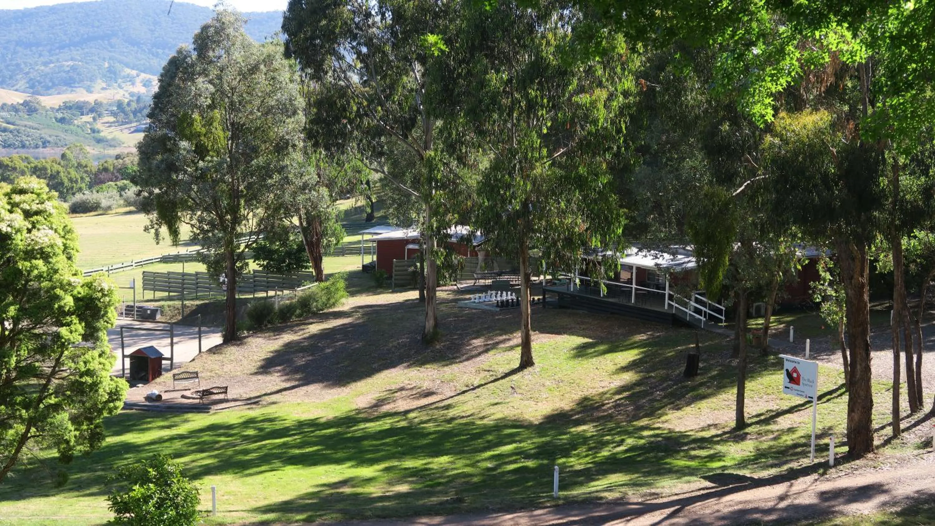 Property building in The Black Sparrow