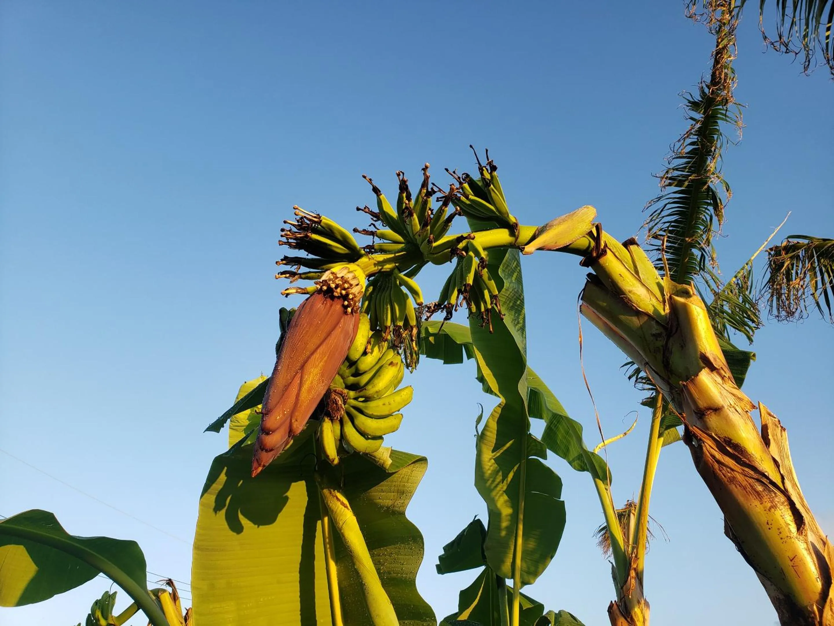 Property building in Hills Villa Miyakojima