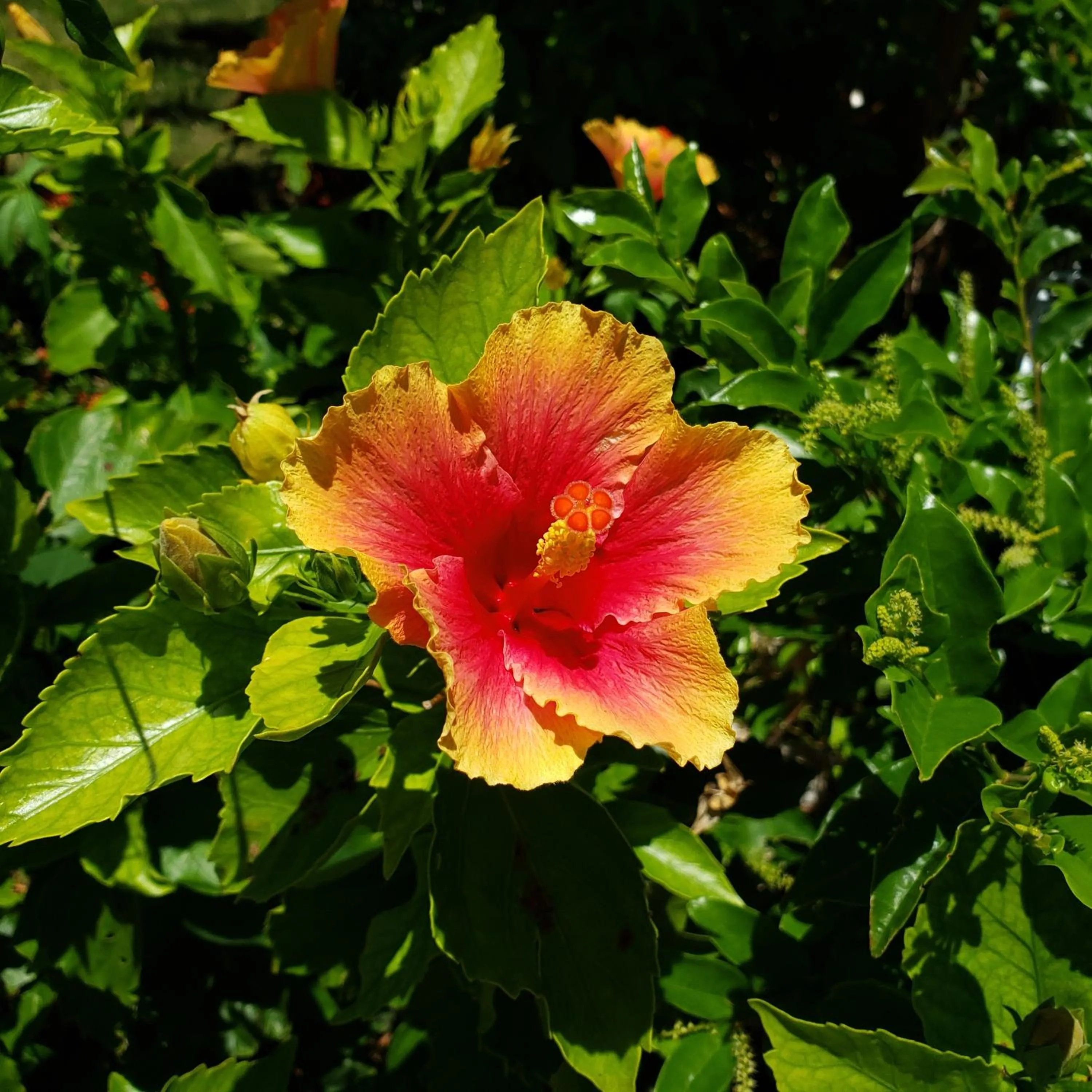 Day in Hills Villa Miyakojima