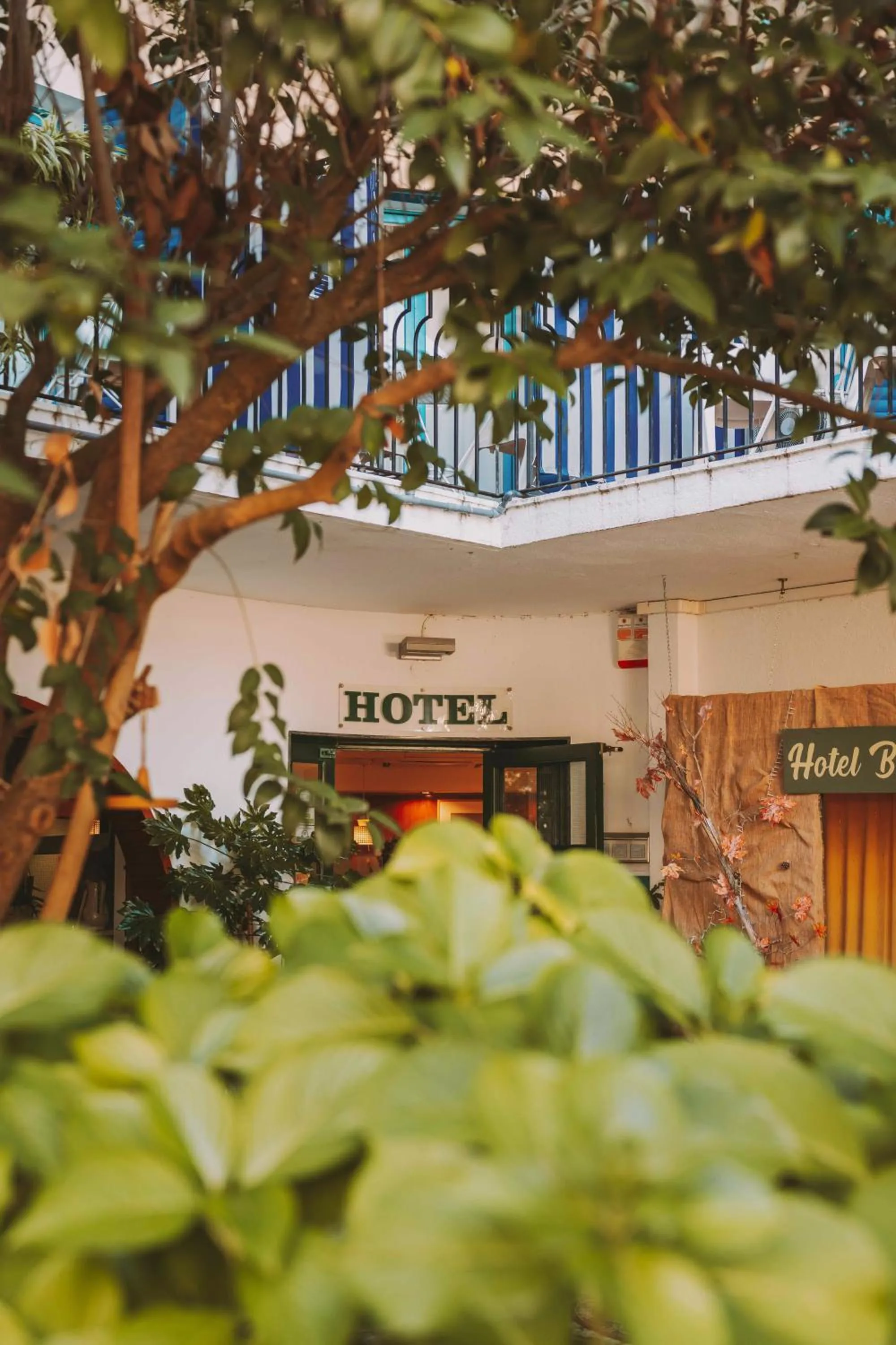 Garden in Hotel Bell Repos