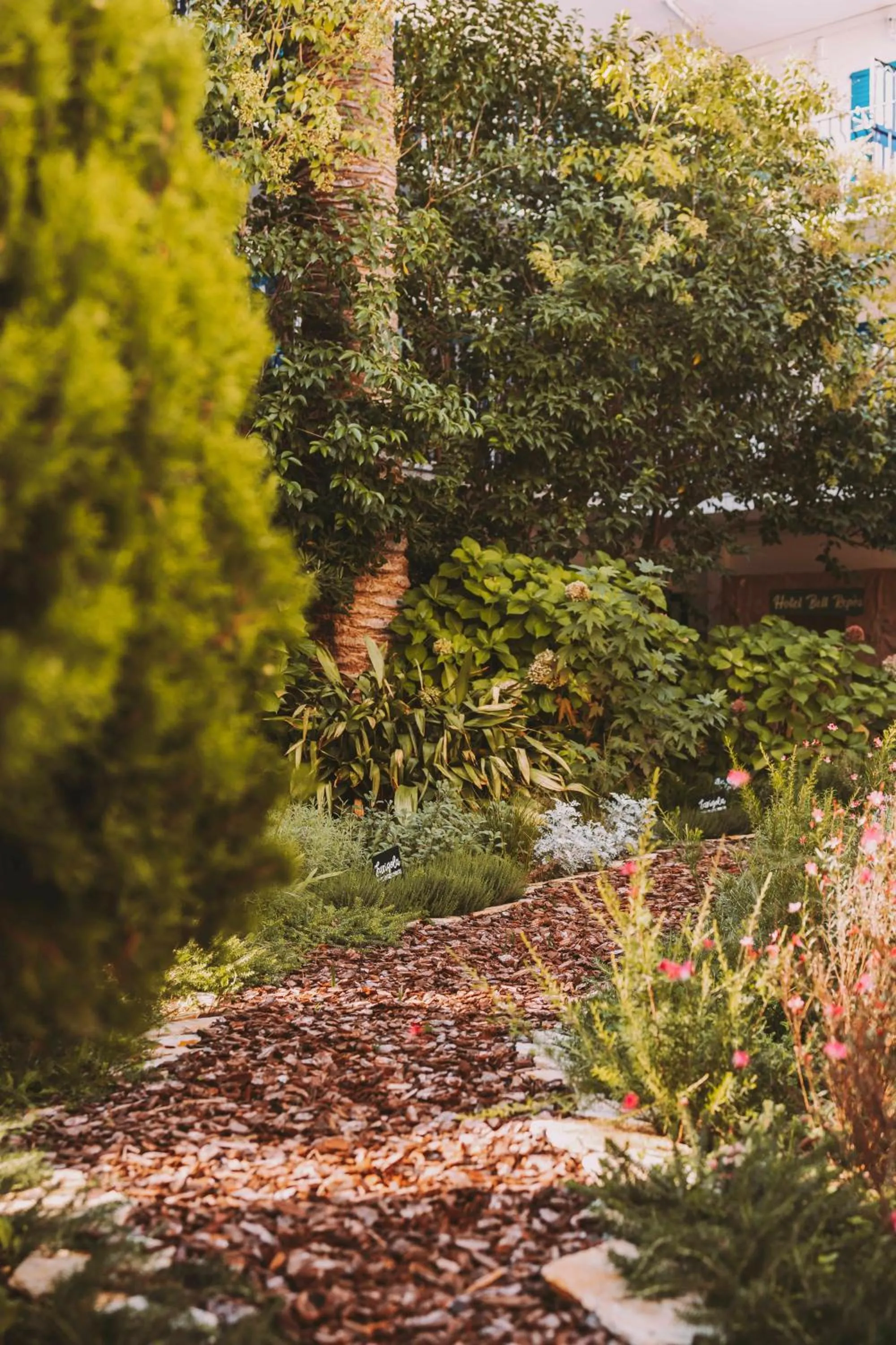 Garden in Hotel Bell Repos