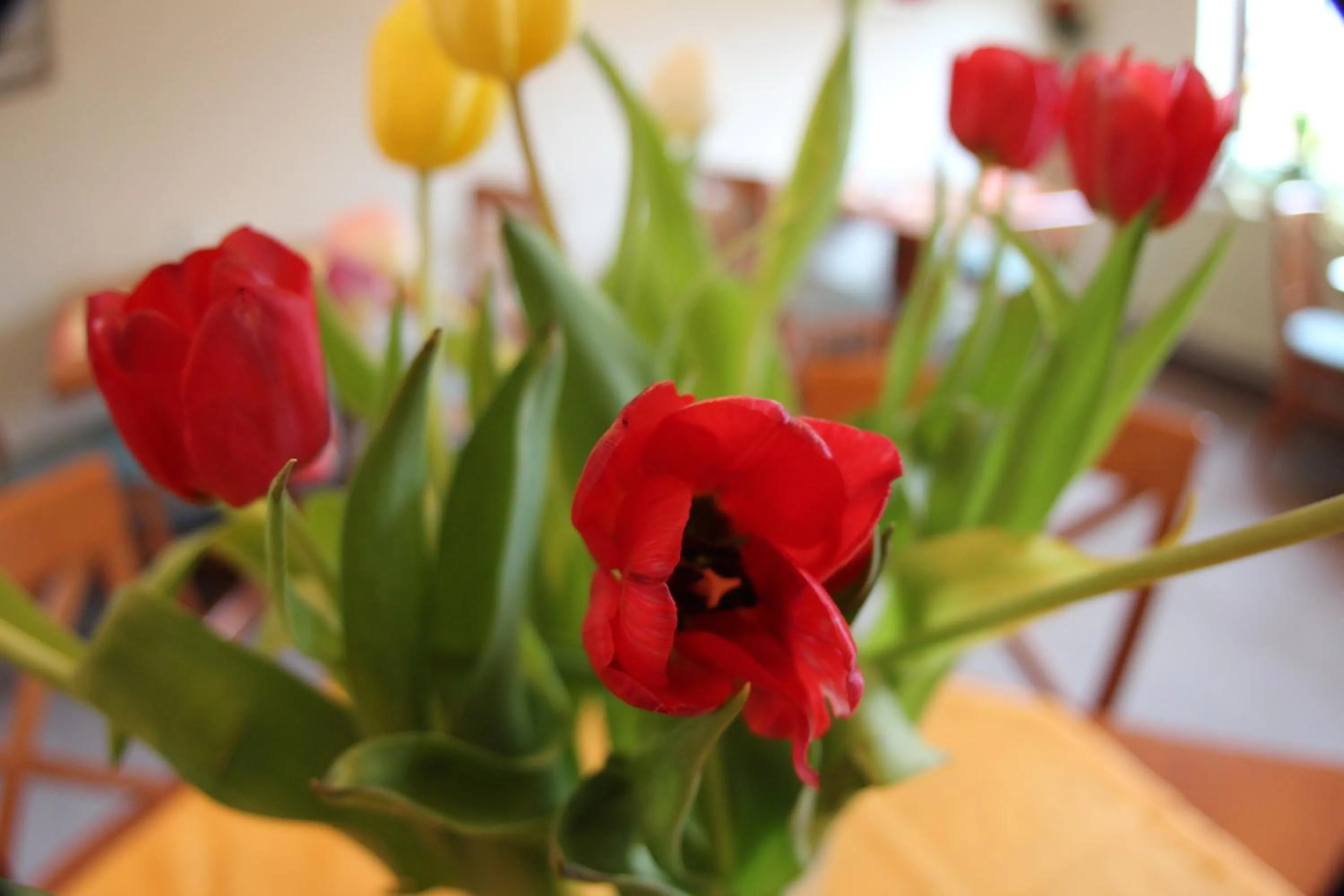 Decorative detail in Deichhotel Grube