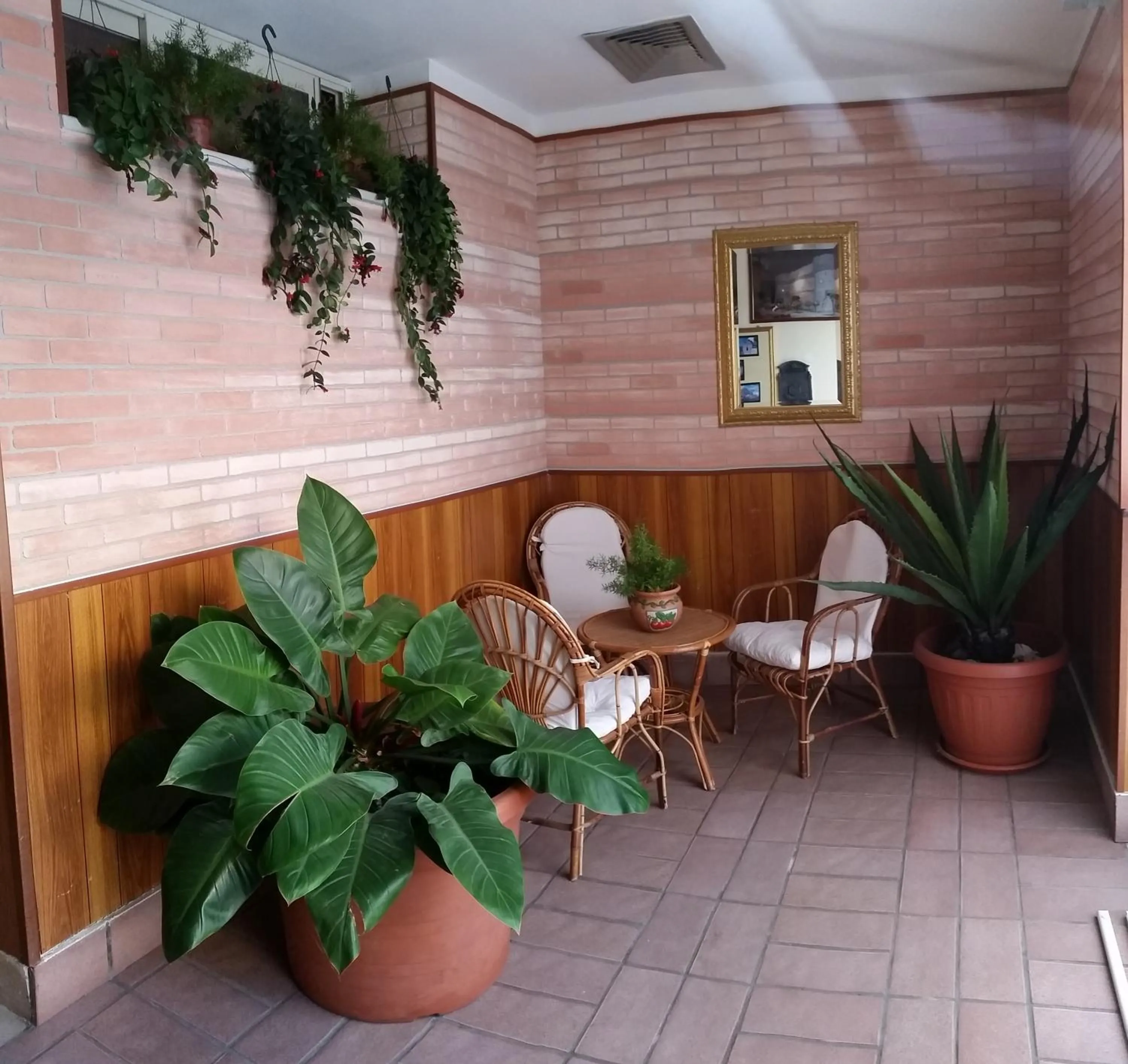 Area and facilities in Hotel Sirio