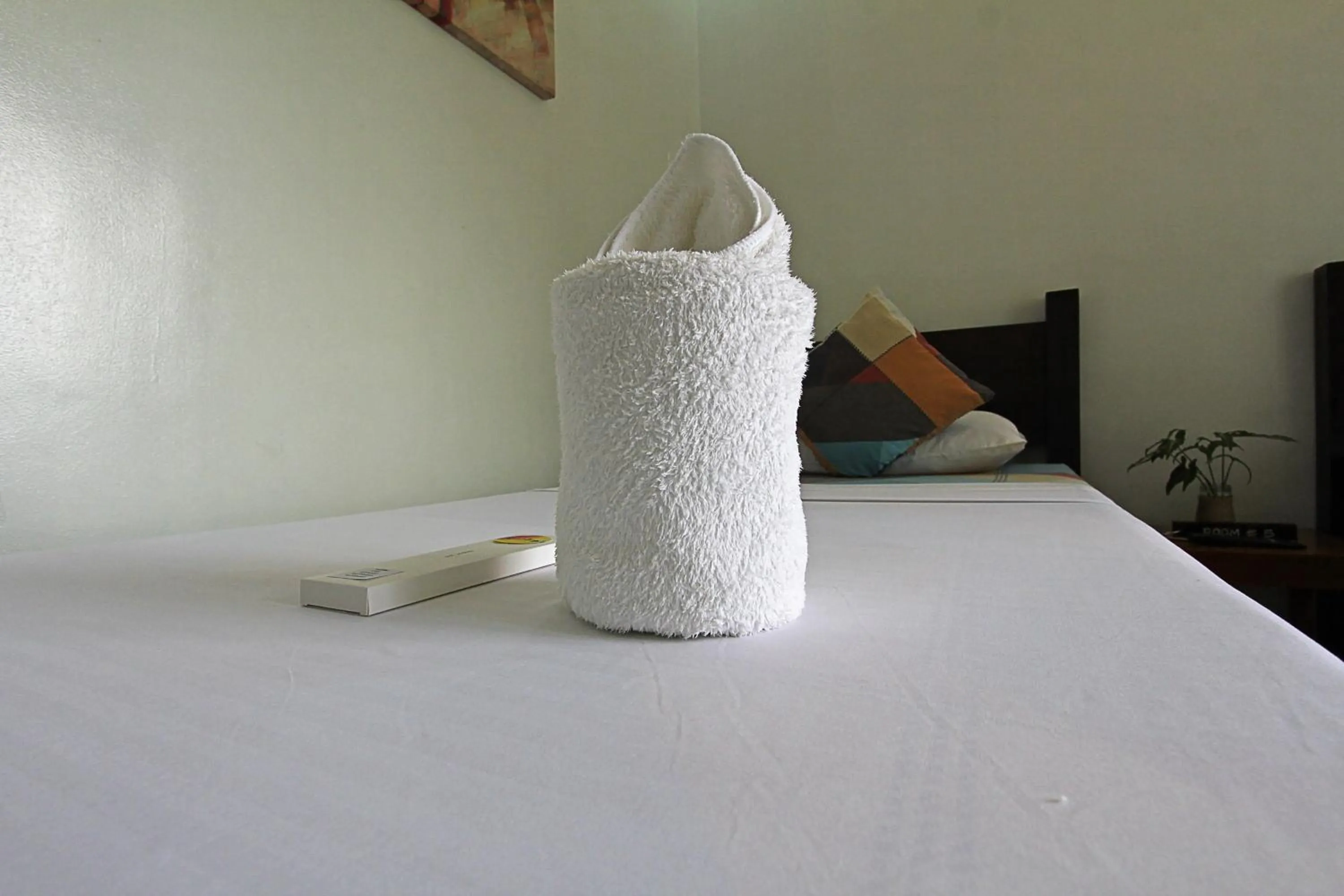 Bed in Seaslugs Travellers Inn