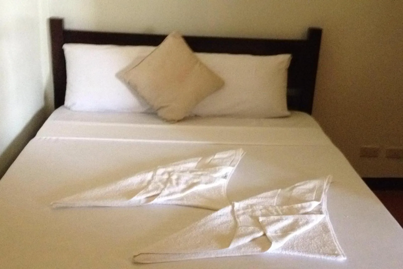 Bed in Seaslugs Travellers Inn