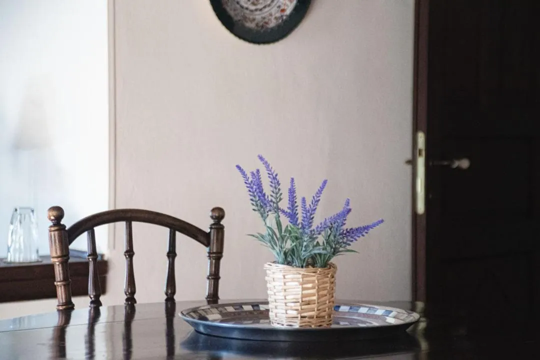 Dining area in Palio Eleotrivio Guesthouse