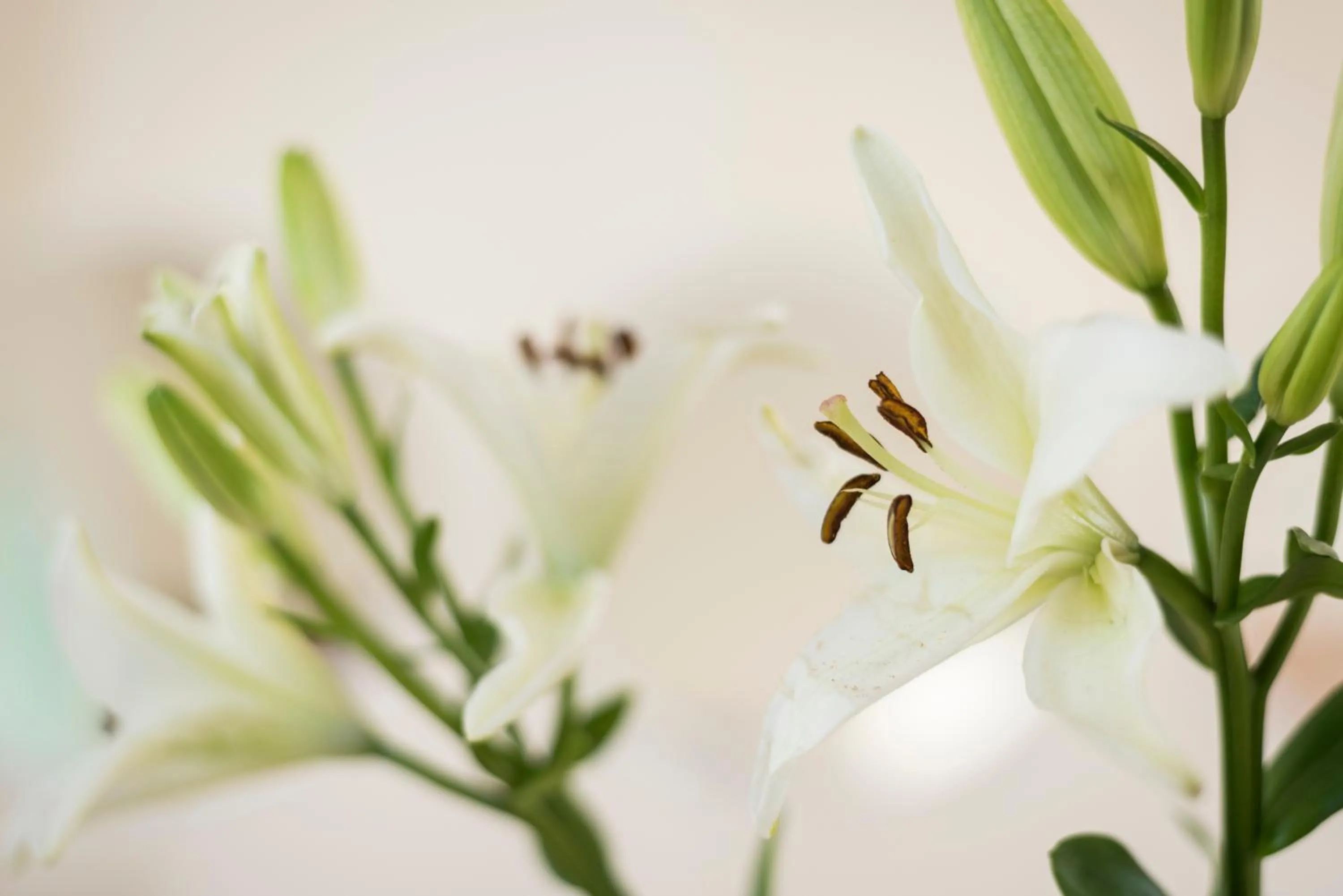 Decorative detail in Sea & City Apartments