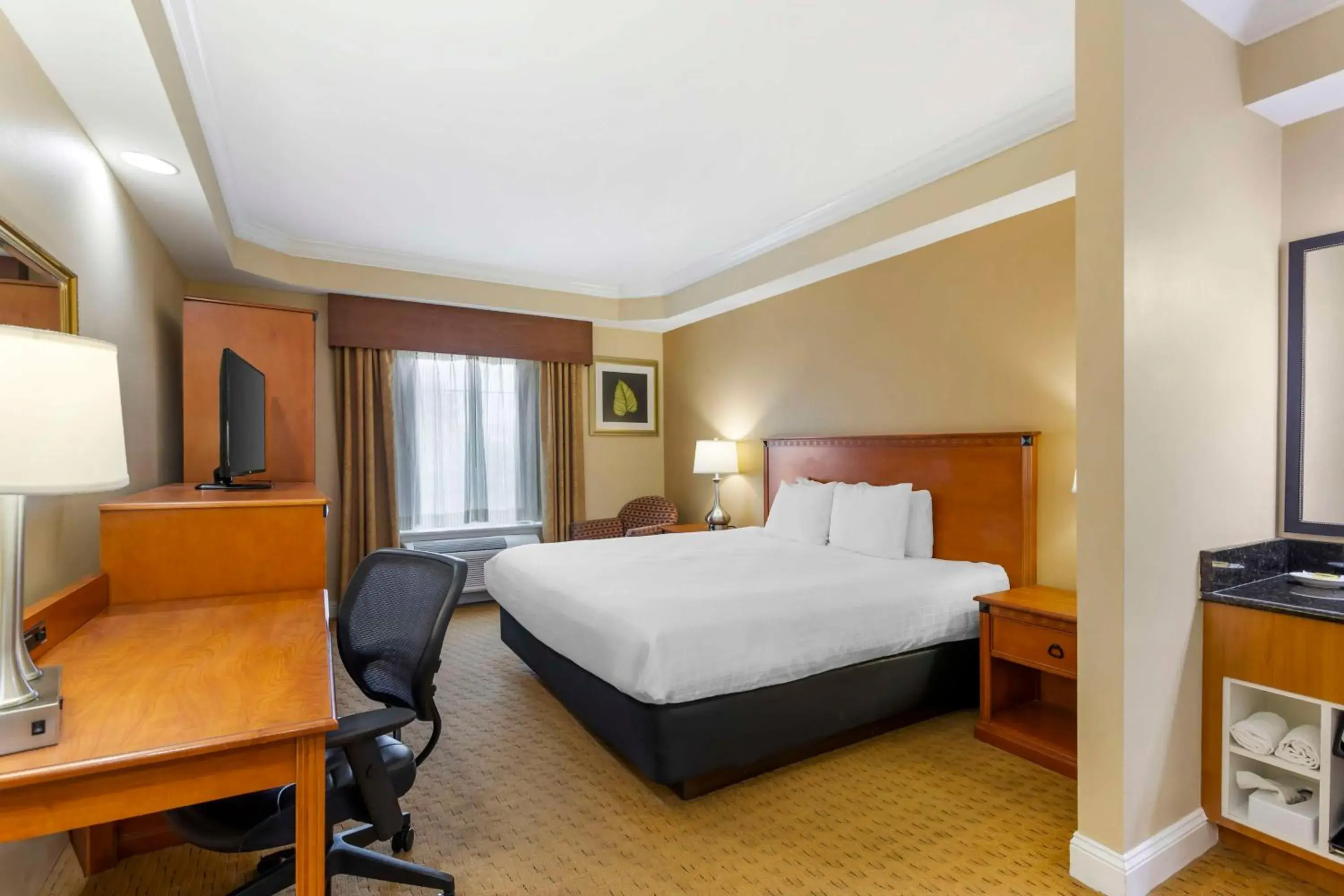 King Room with Roll-in Shower - Disability Access/Non-Smoking in Best Western Plus Kingsland King Room with Roll-in Shower - Disability Access/Non-Smoking in Best Western Plus Kingsland