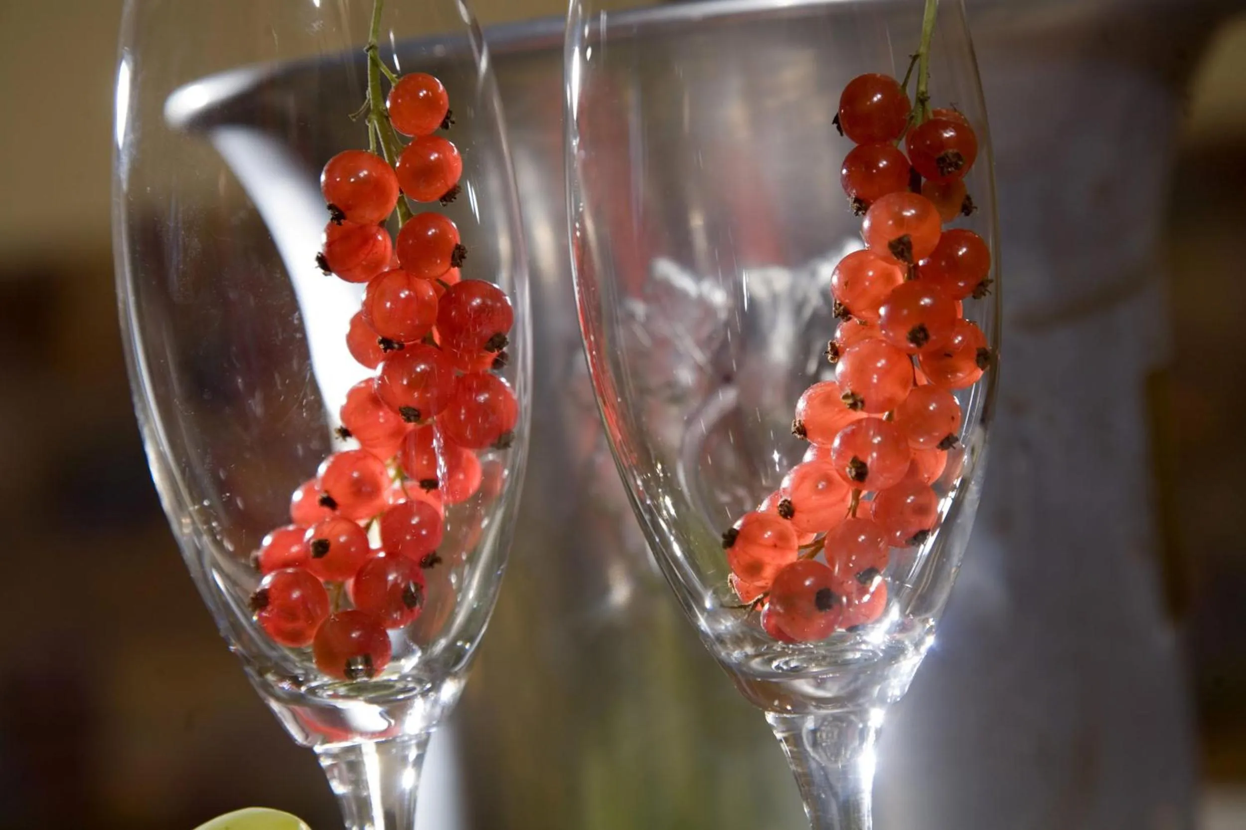 Food and drinks in Hotel Bruno