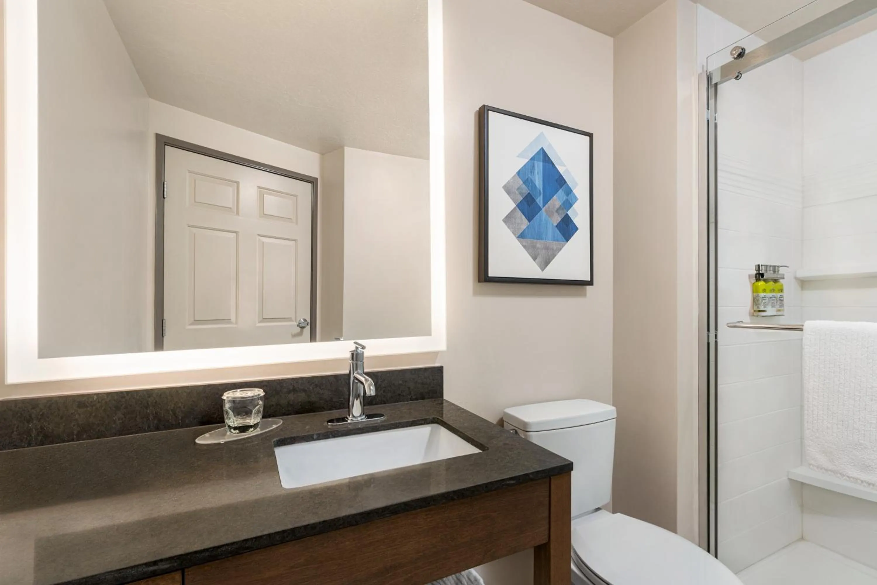 Shower in Candlewood Suites Boise-Meridian by IHG