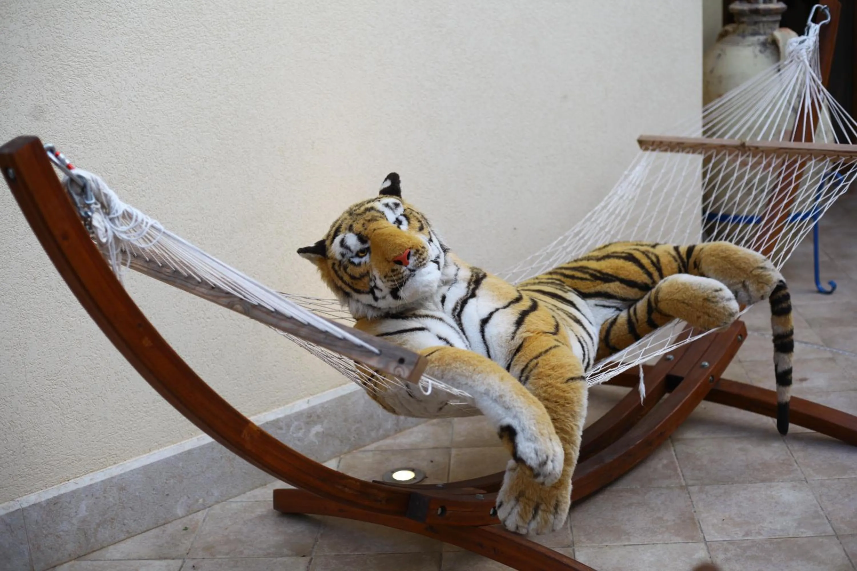 Pets in Timbuktu Hostel