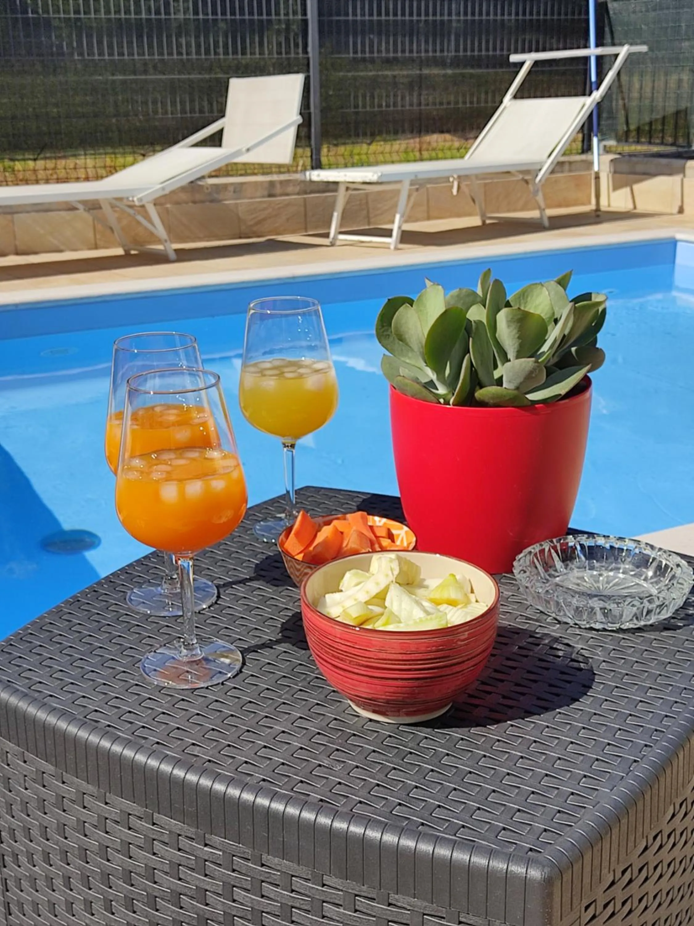 Swimming pool in Casa Pepe