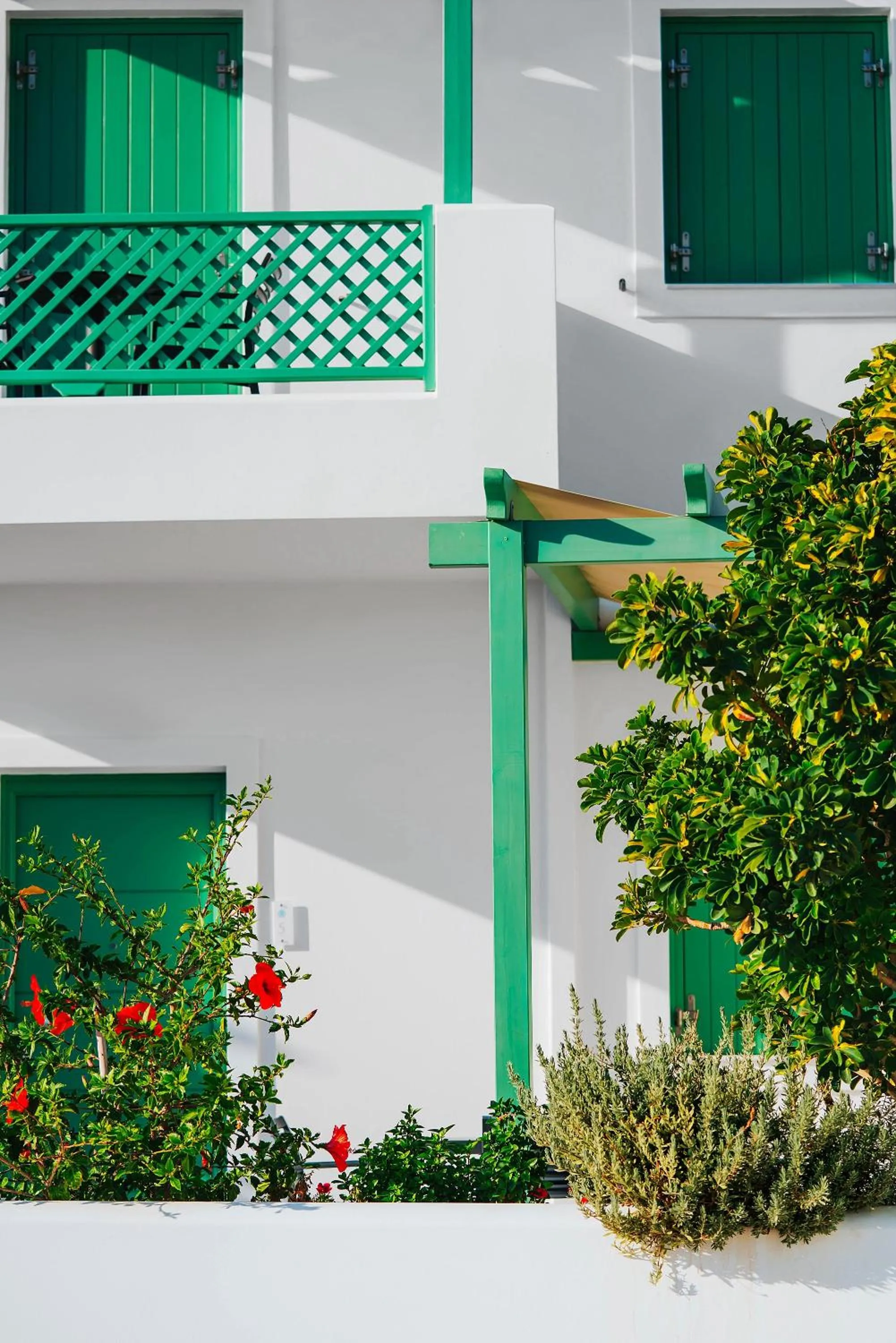 Balcony/Terrace in Aelia Apartments & Suites