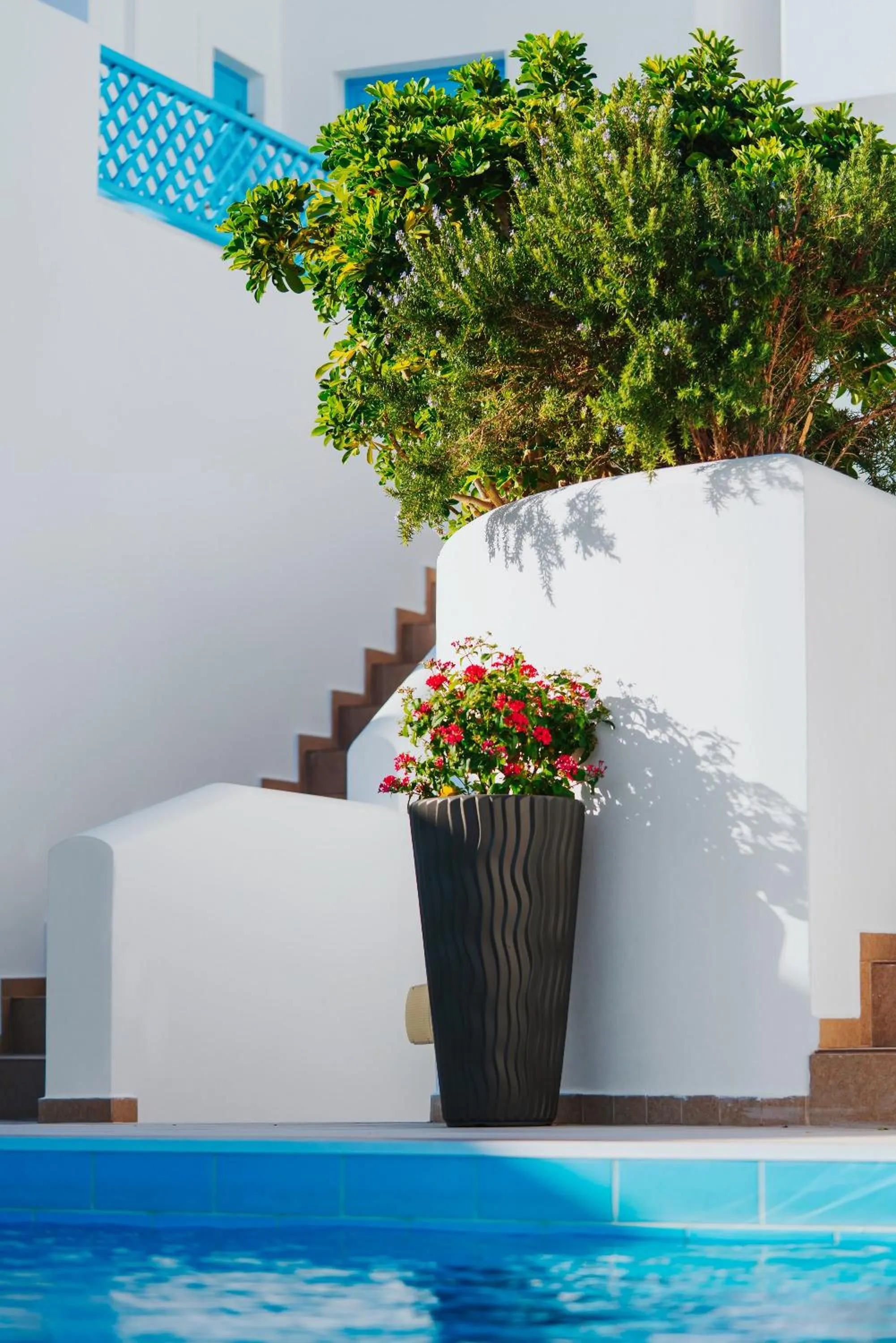 Property building in Aelia Apartments & Suites