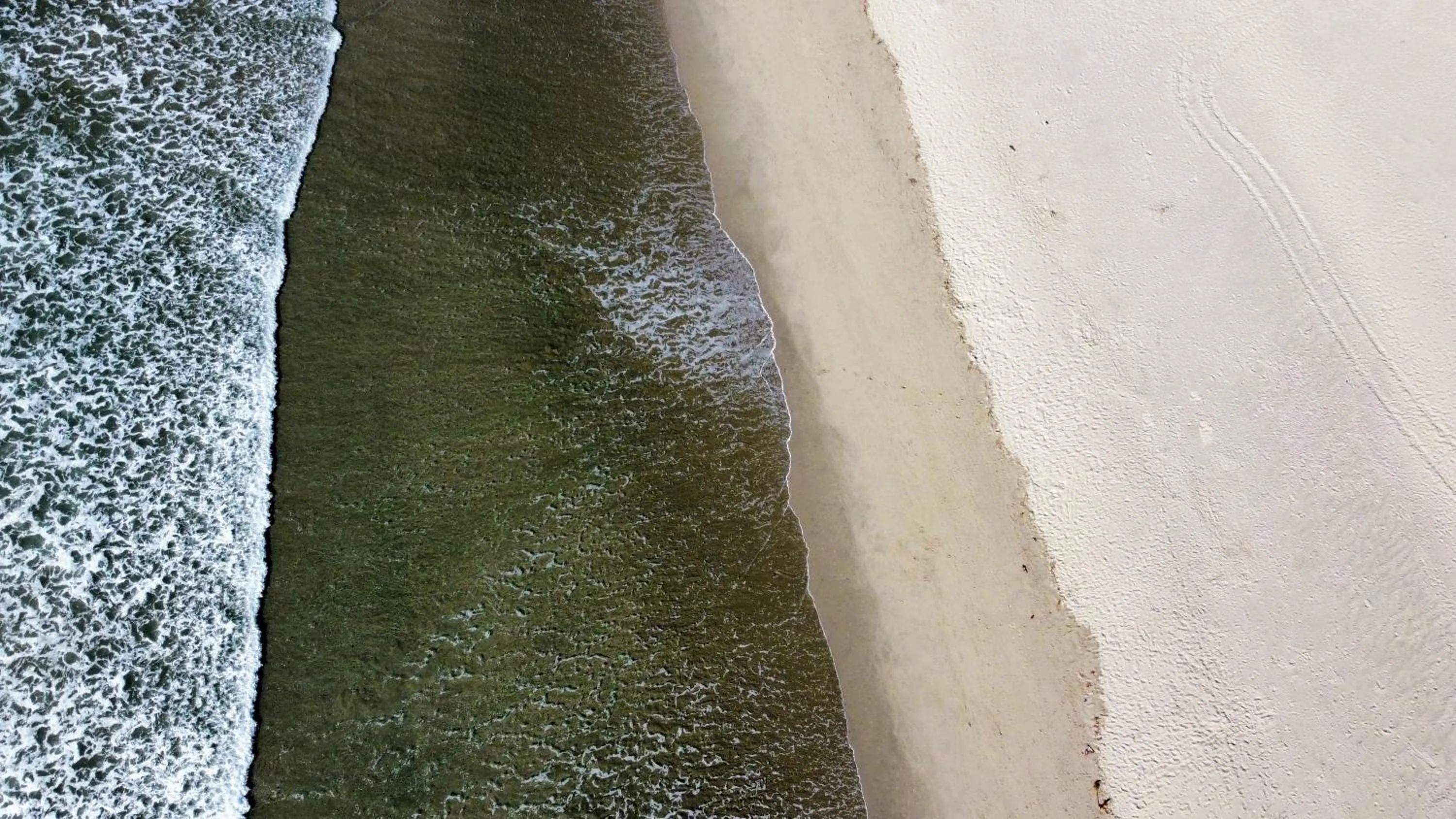 Natural landscape in Americas Best Value Inn Oxnard-Port Hueneme