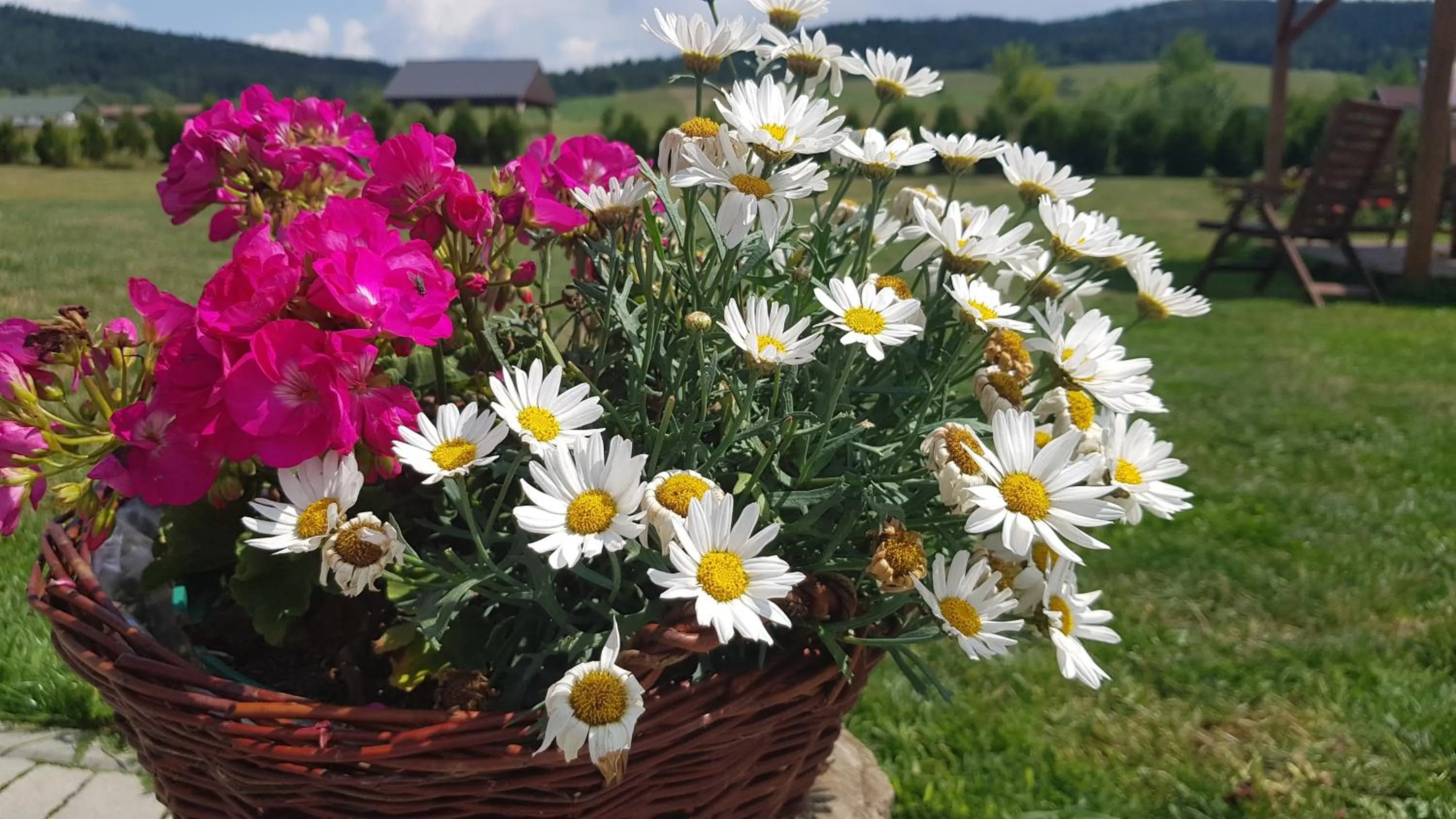 Natural landscape in Malowane Wierchy