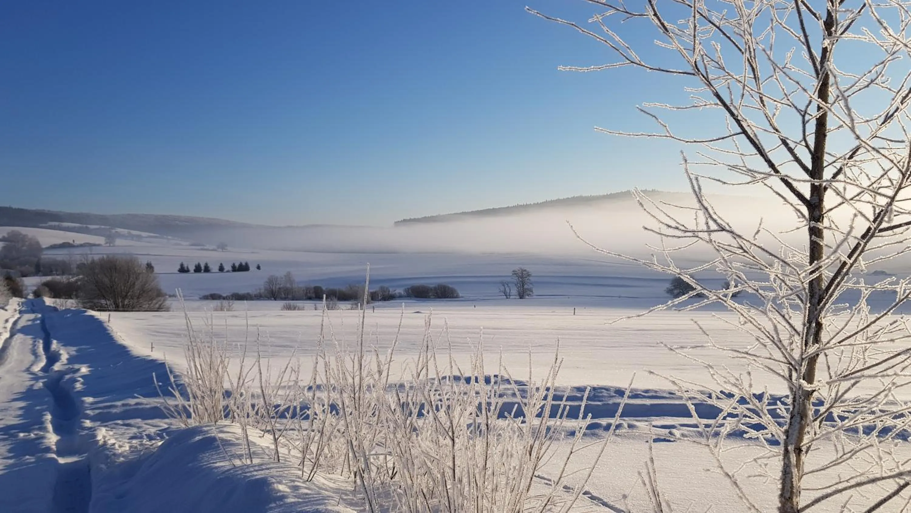 Natural landscape in Malowane Wierchy