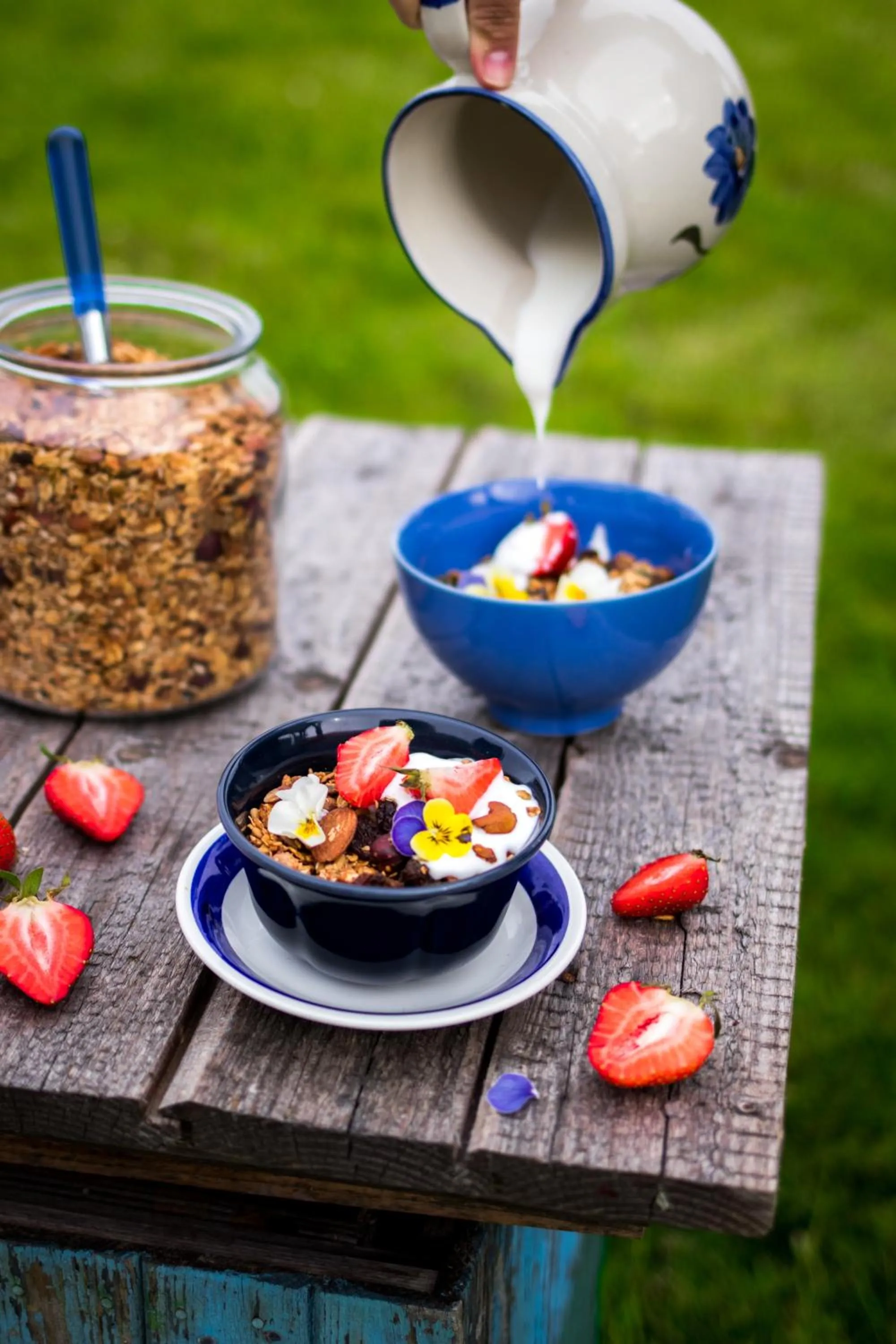 Food close-up in Malowane Wierchy