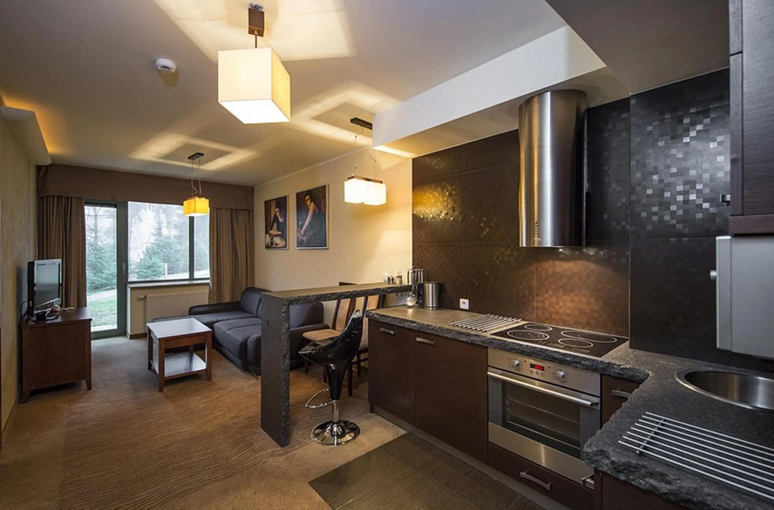 Kitchen or kitchenette in Hotel Murowanica