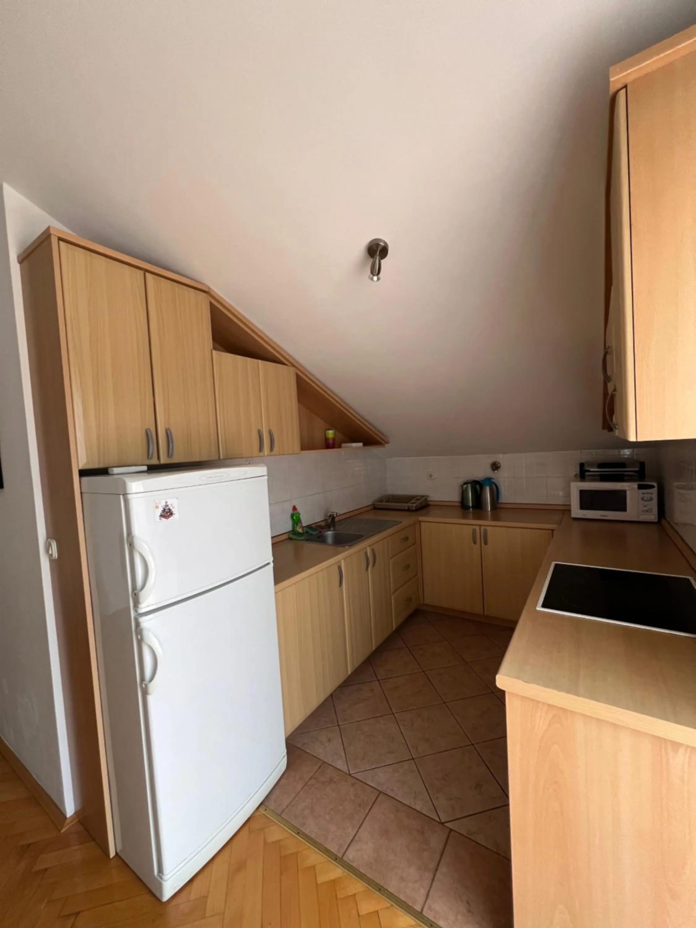 Kitchen or kitchenette in Apartment Ivanka