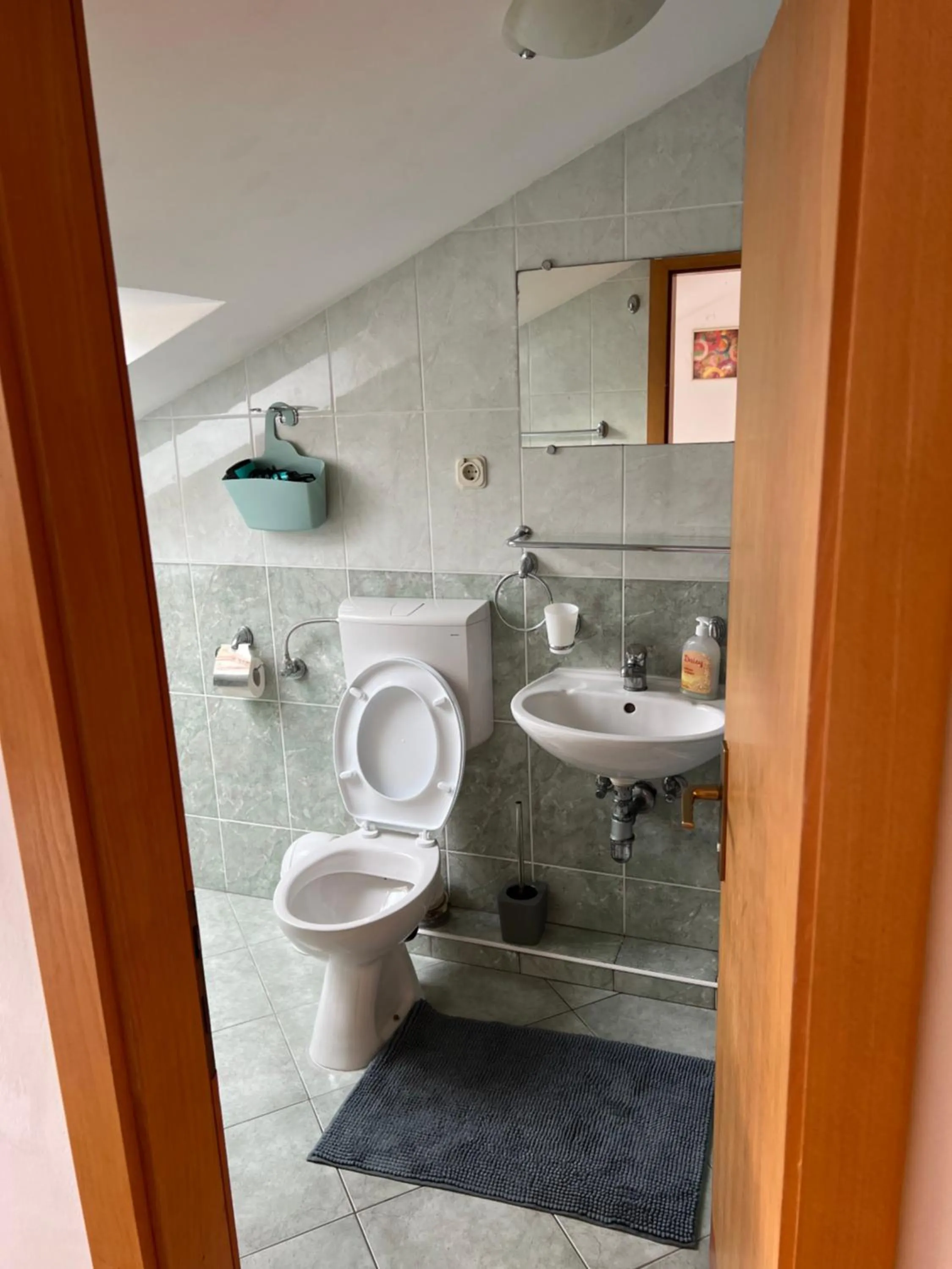 Shower in Apartment Ivanka