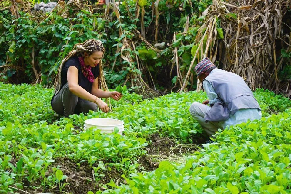 Guests in Sanu House