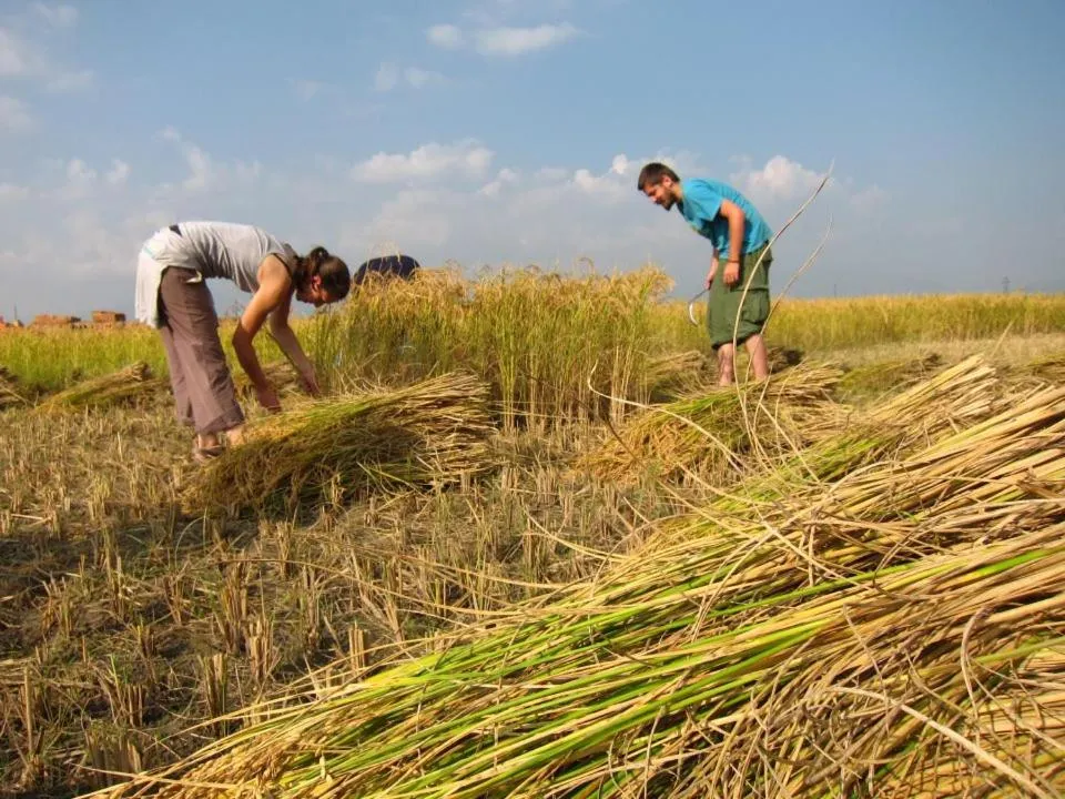 group of guests in Sanu House