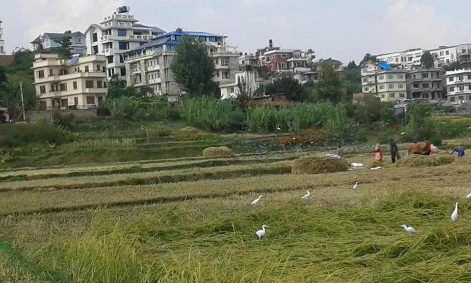 Natural landscape in Sanu House