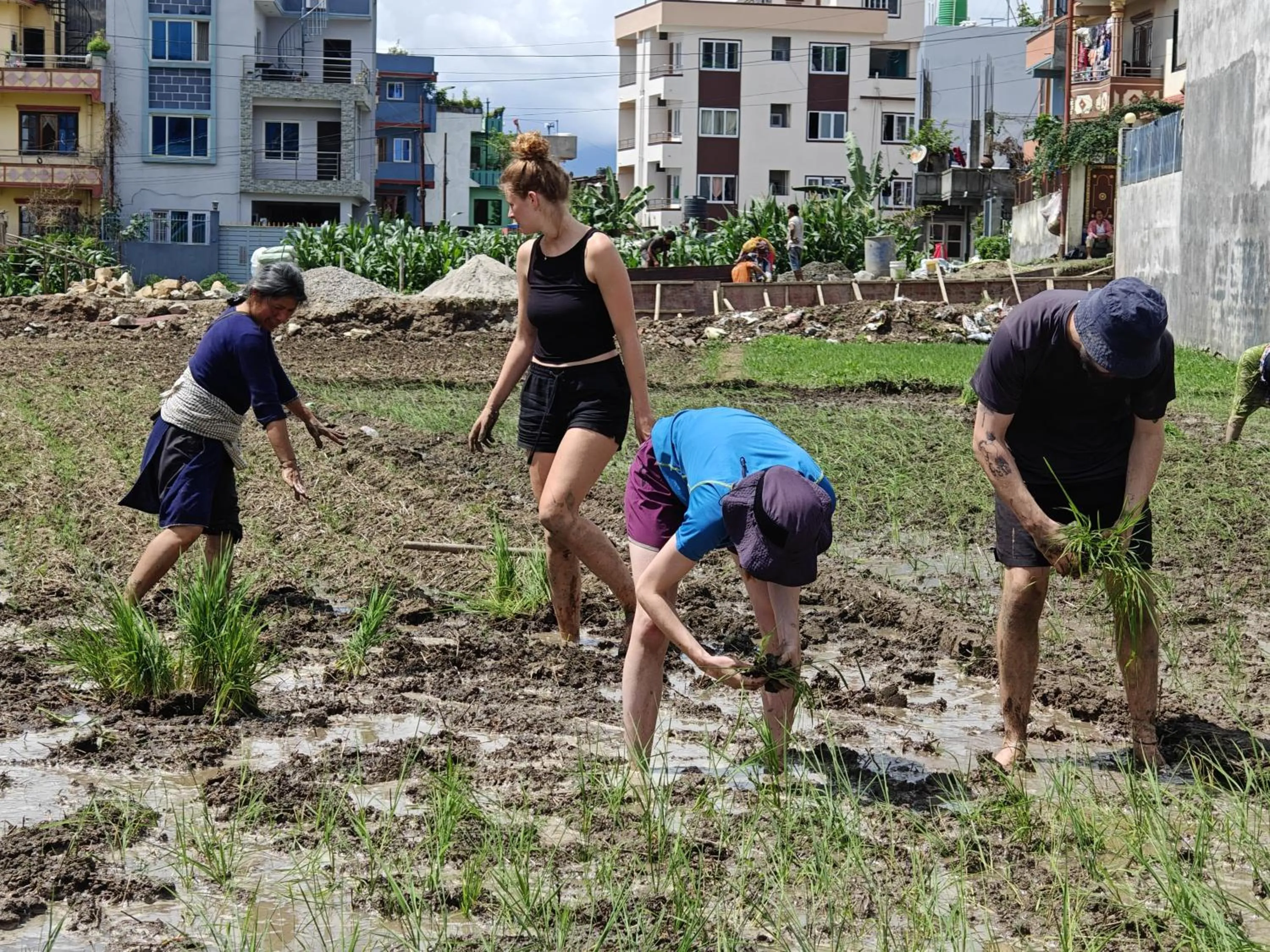 Natural landscape in Sanu House