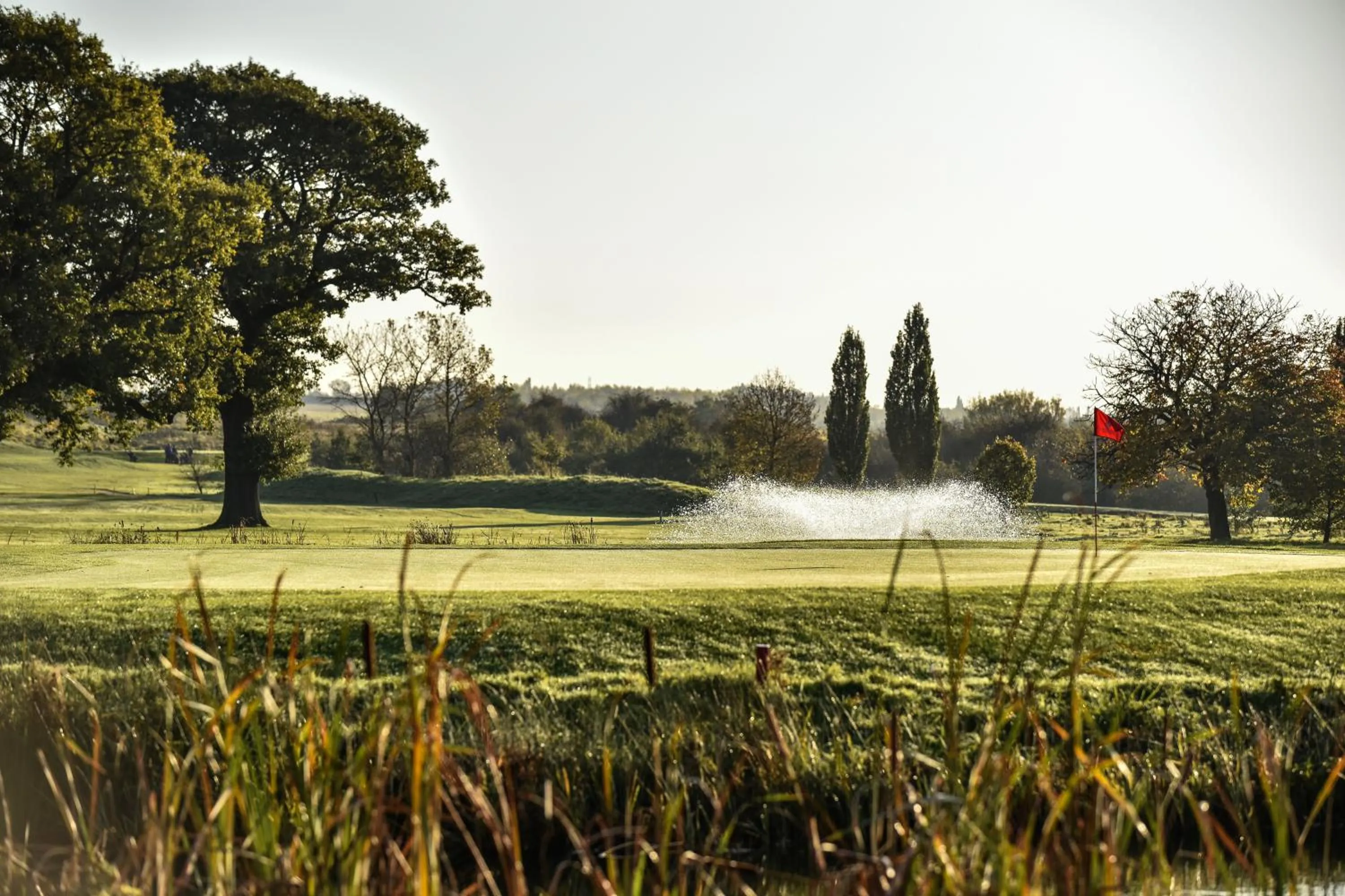 Natural landscape in The Nottinghamshire Hotel & Golf Club