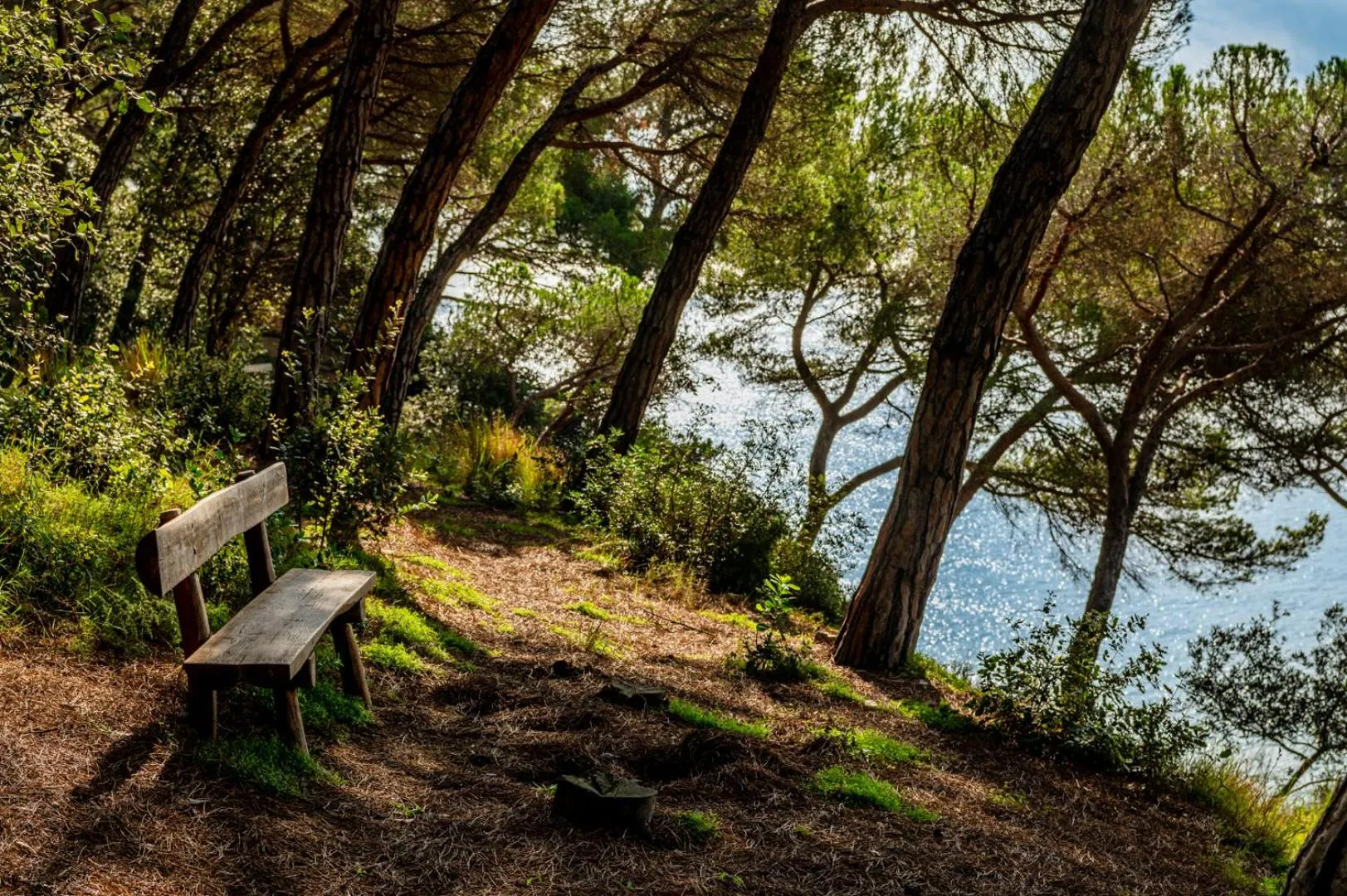 Off site in Albamar Apartaments