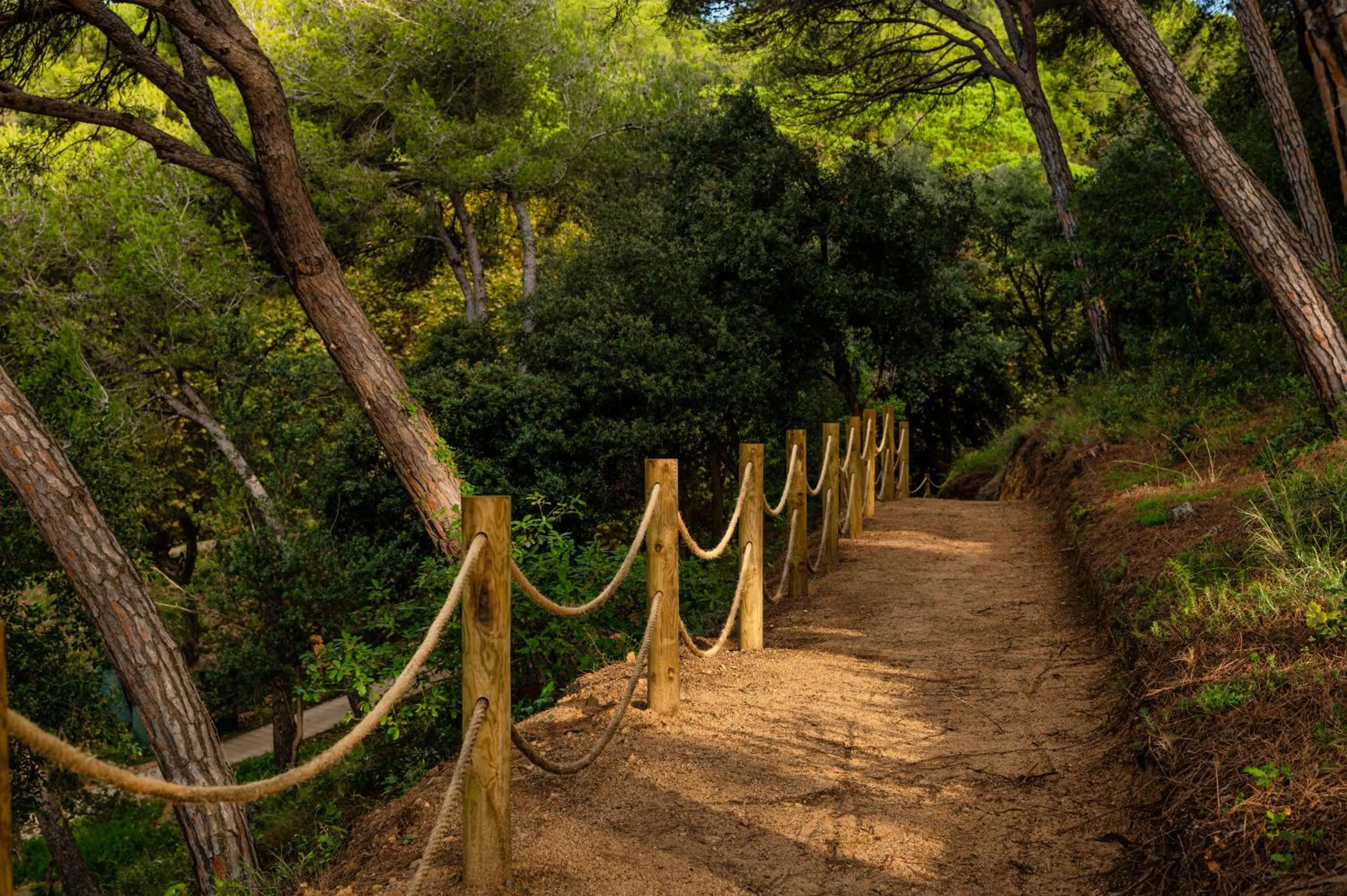 Off site in Albamar Apartaments